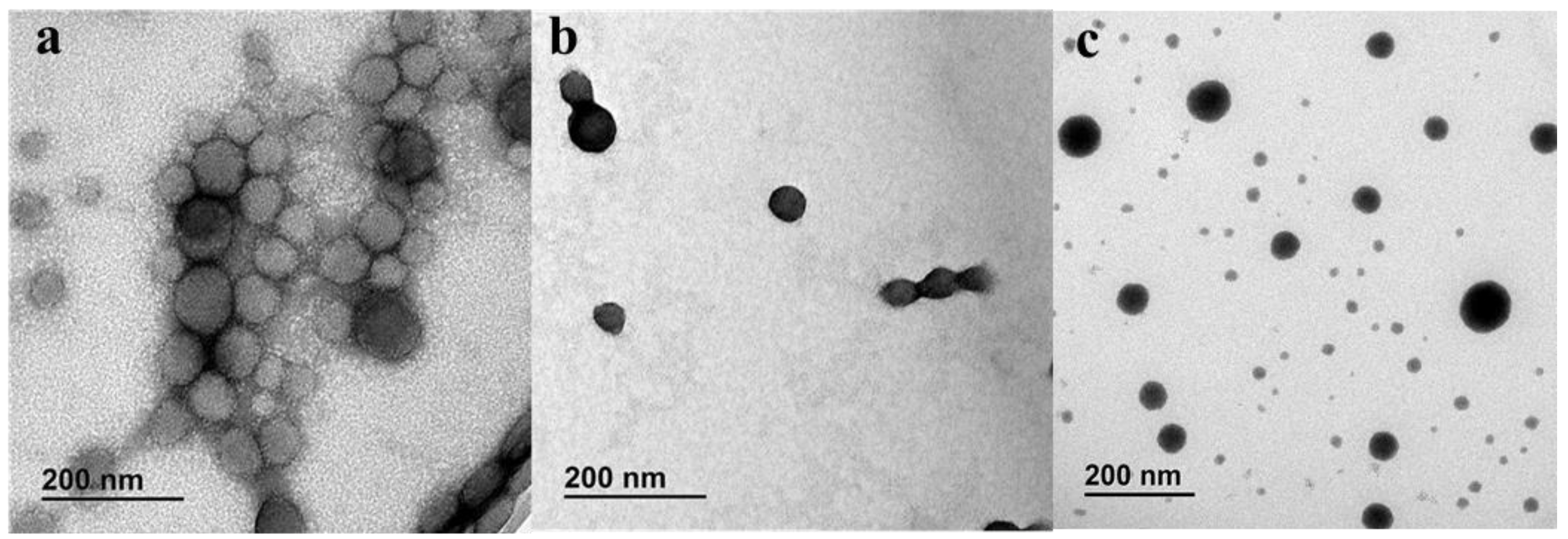 Pharmaceutics 13 02134 g004 550