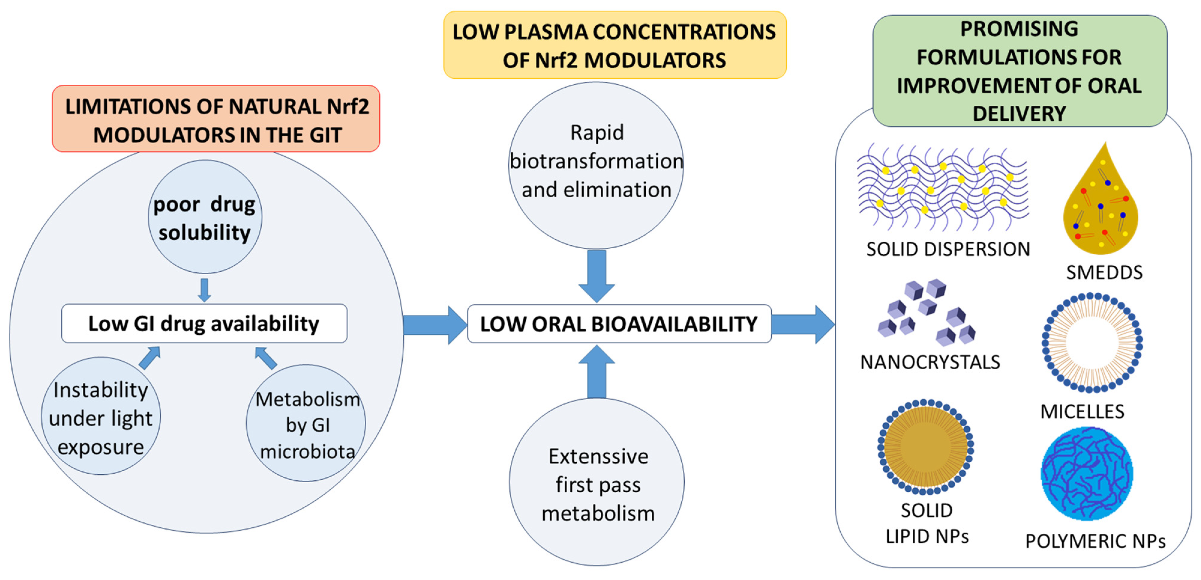 Pharmaceutics 13 02137 g002 Pharmaceutics 13 02137 g002