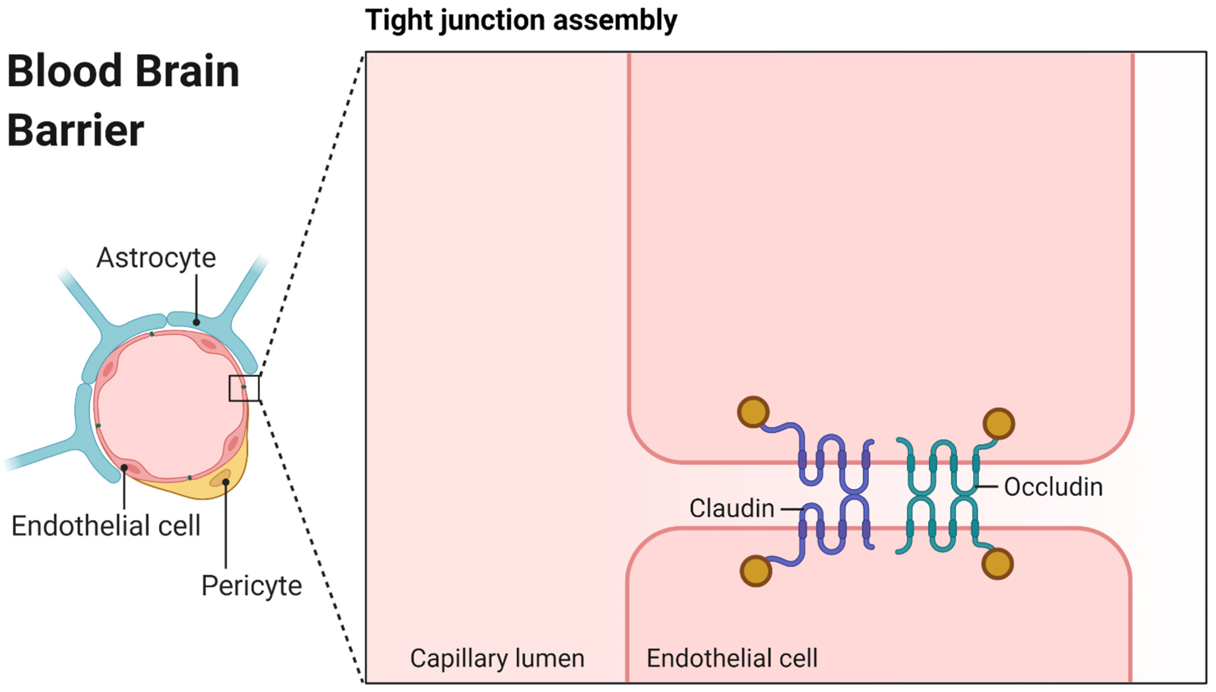 Pharmaceutics 13 02141 g001