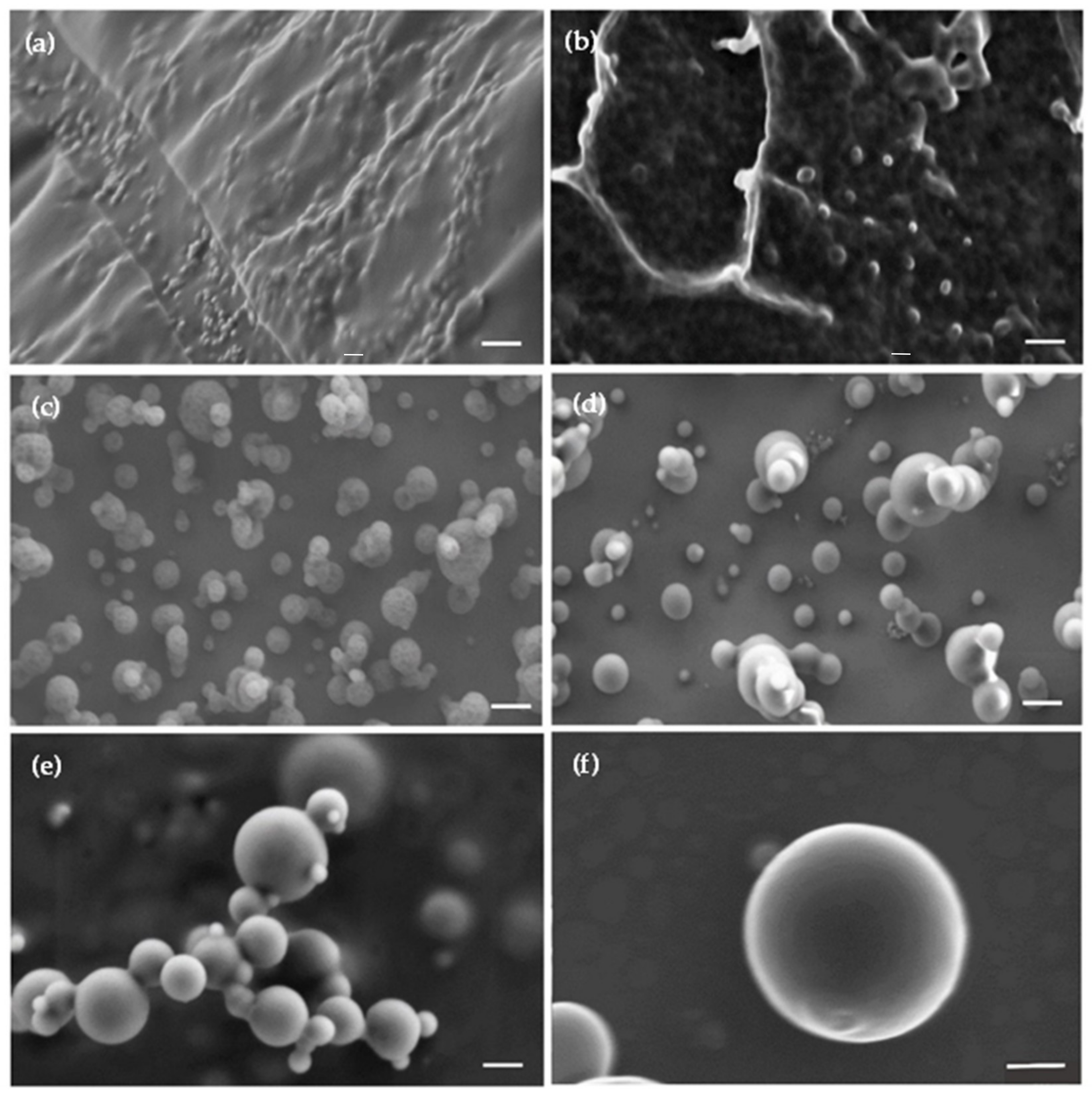 Pharmaceutics 13 02142 g003