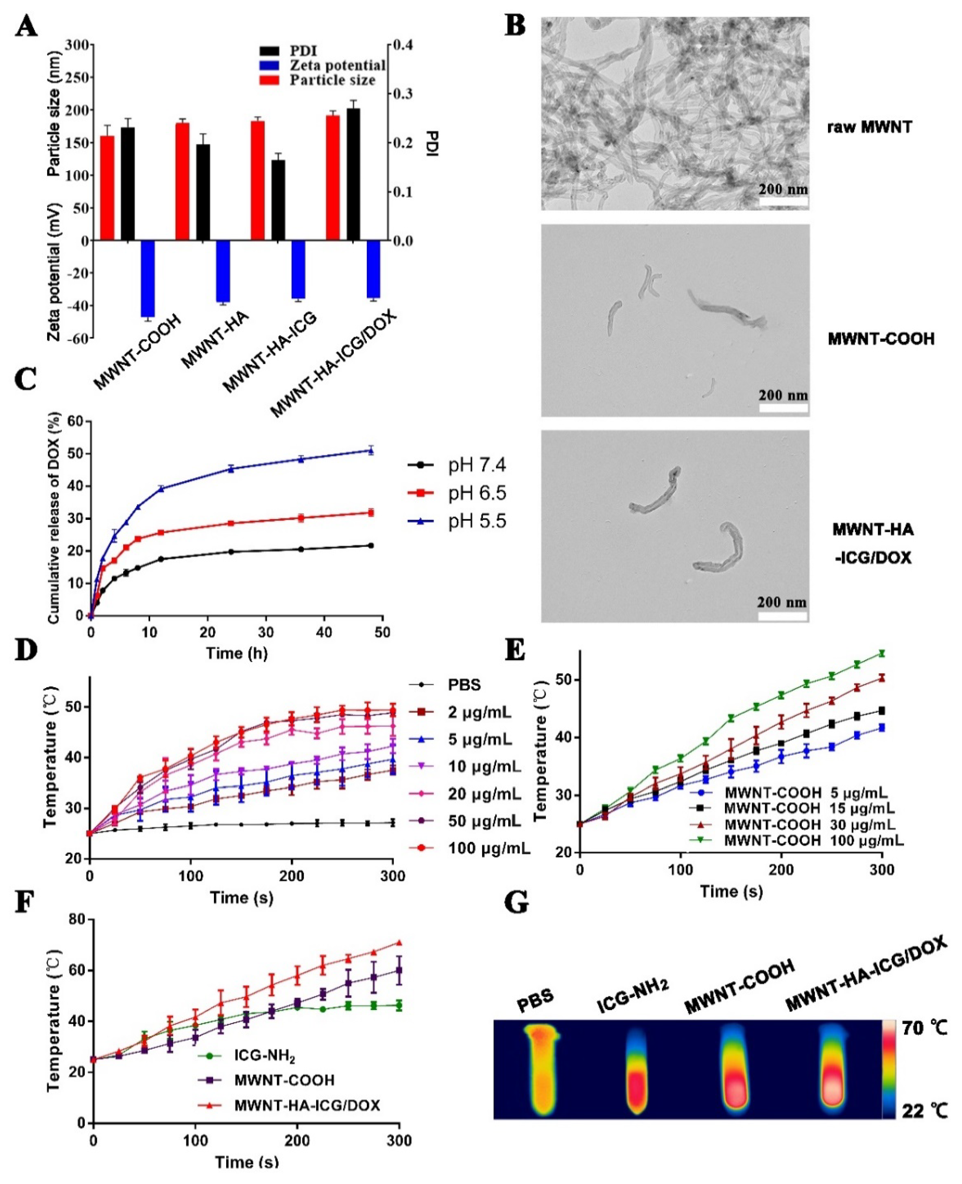Pharmaceutics 13 02145 g003