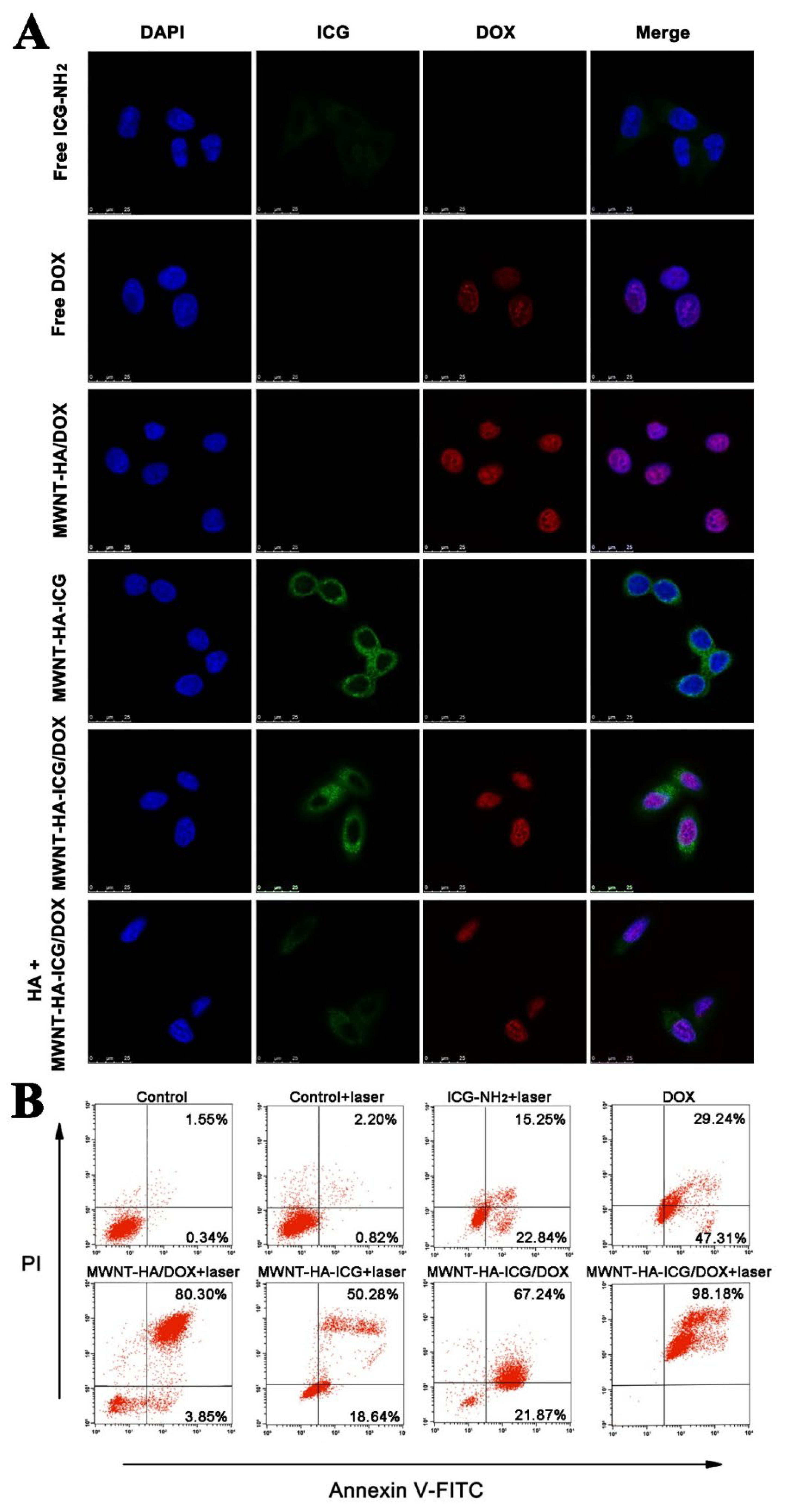 Pharmaceutics 13 02145 g005