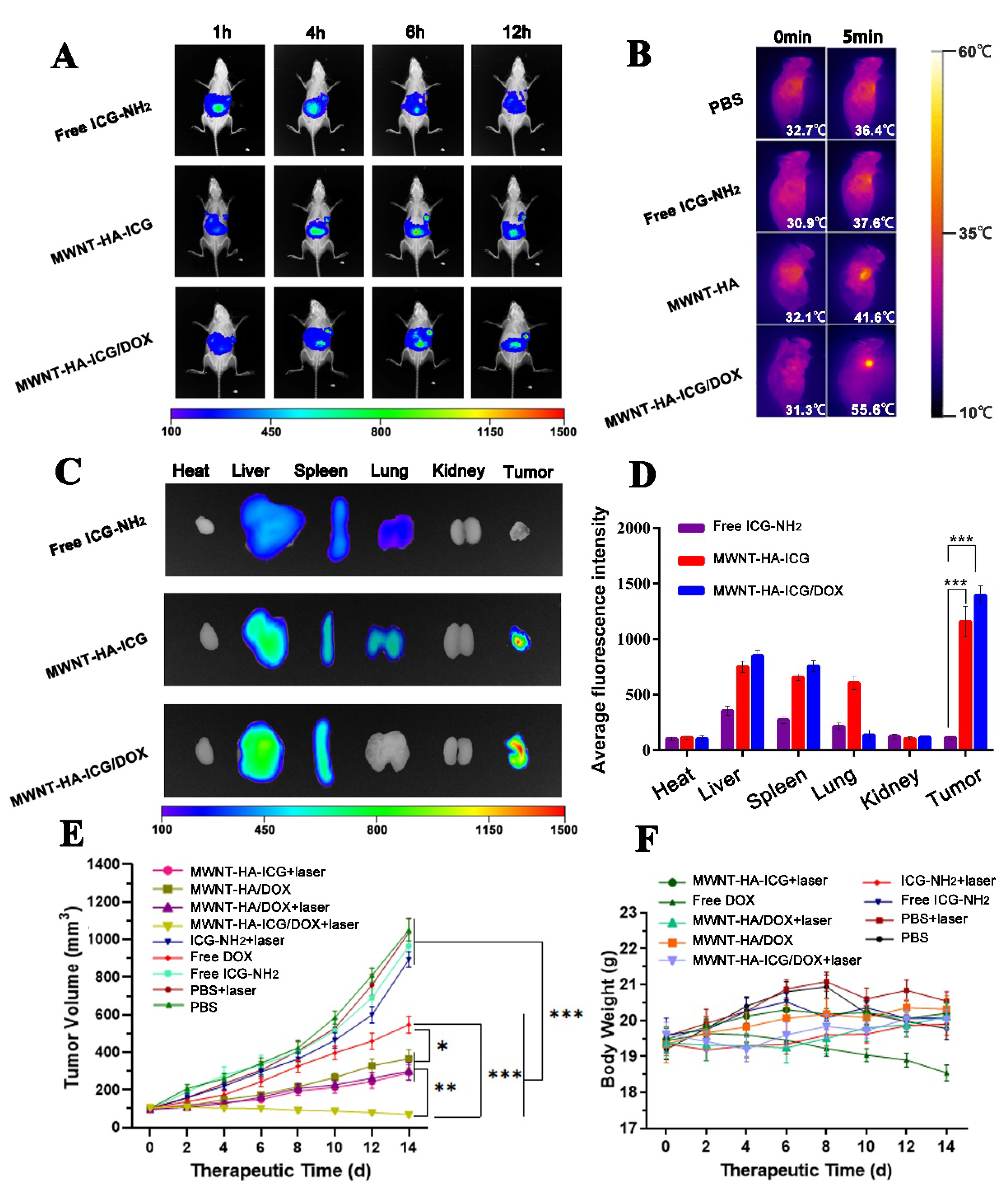Pharmaceutics 13 02145 g006