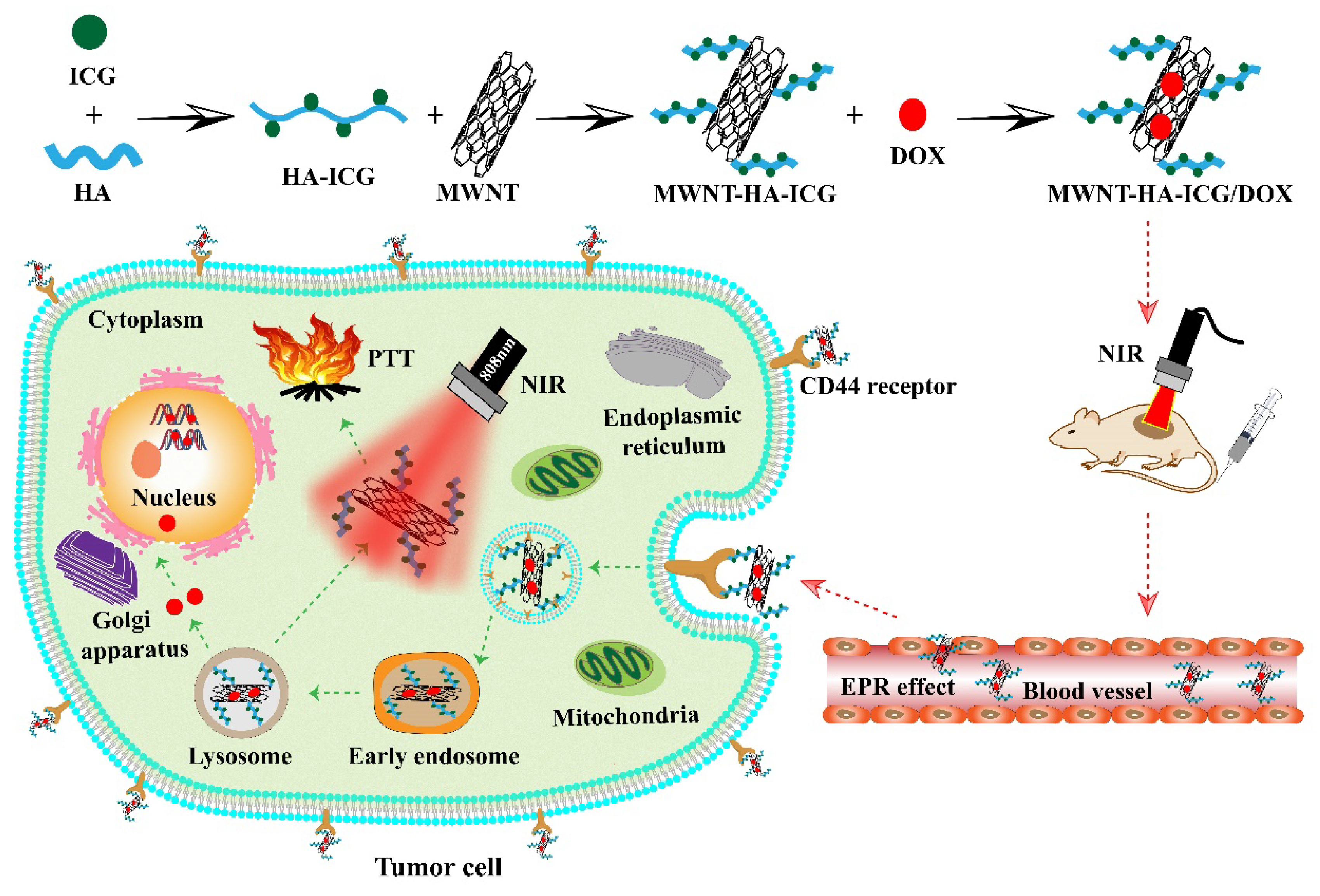 Pharmaceutics 13 02145 sch001