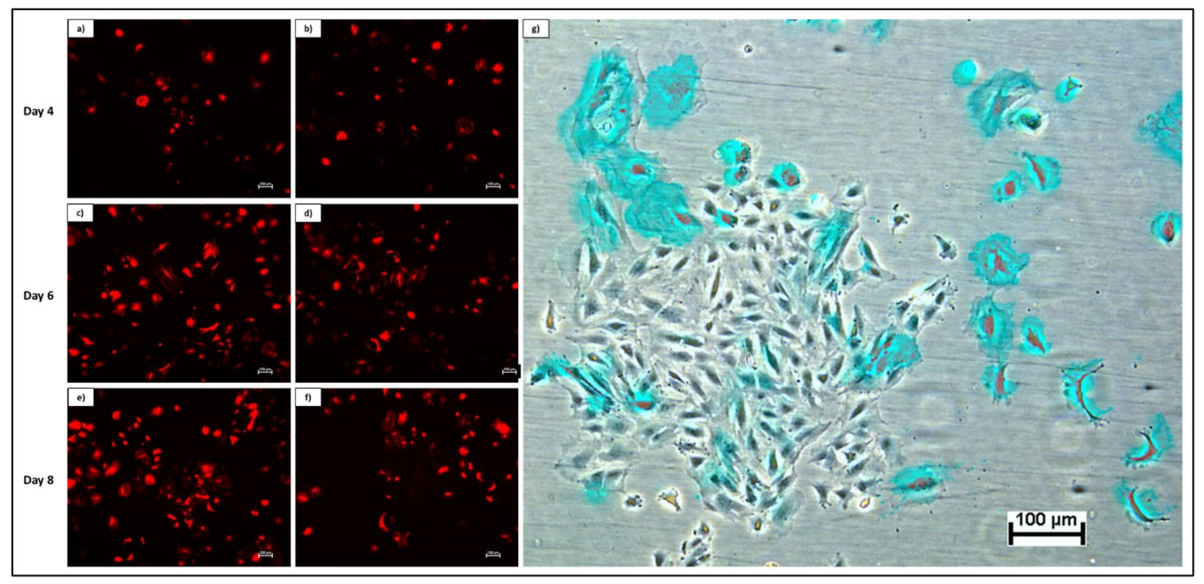 Pharmaceutics 13 02146 g003