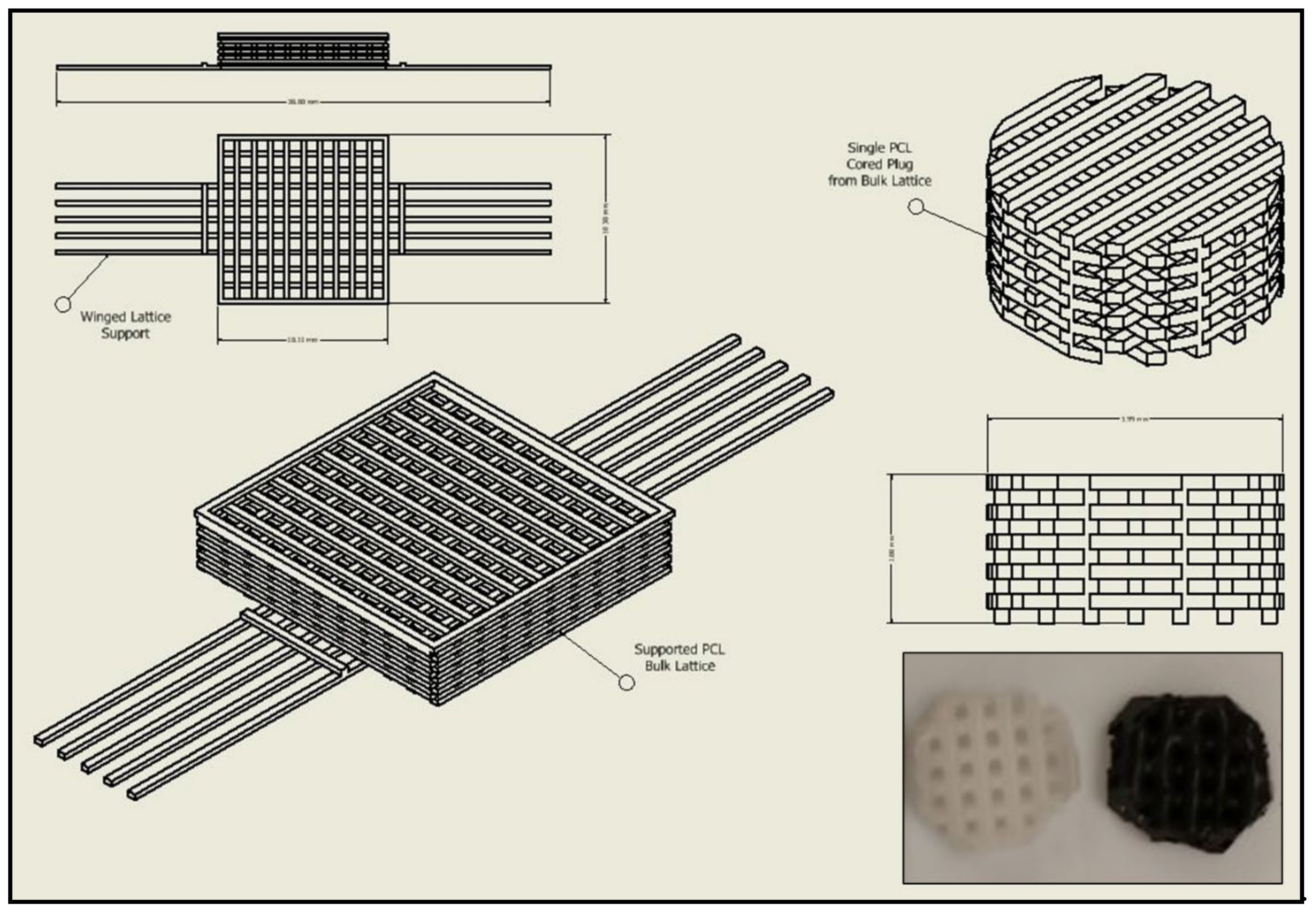 Pharmaceutics 13 02146 g004
