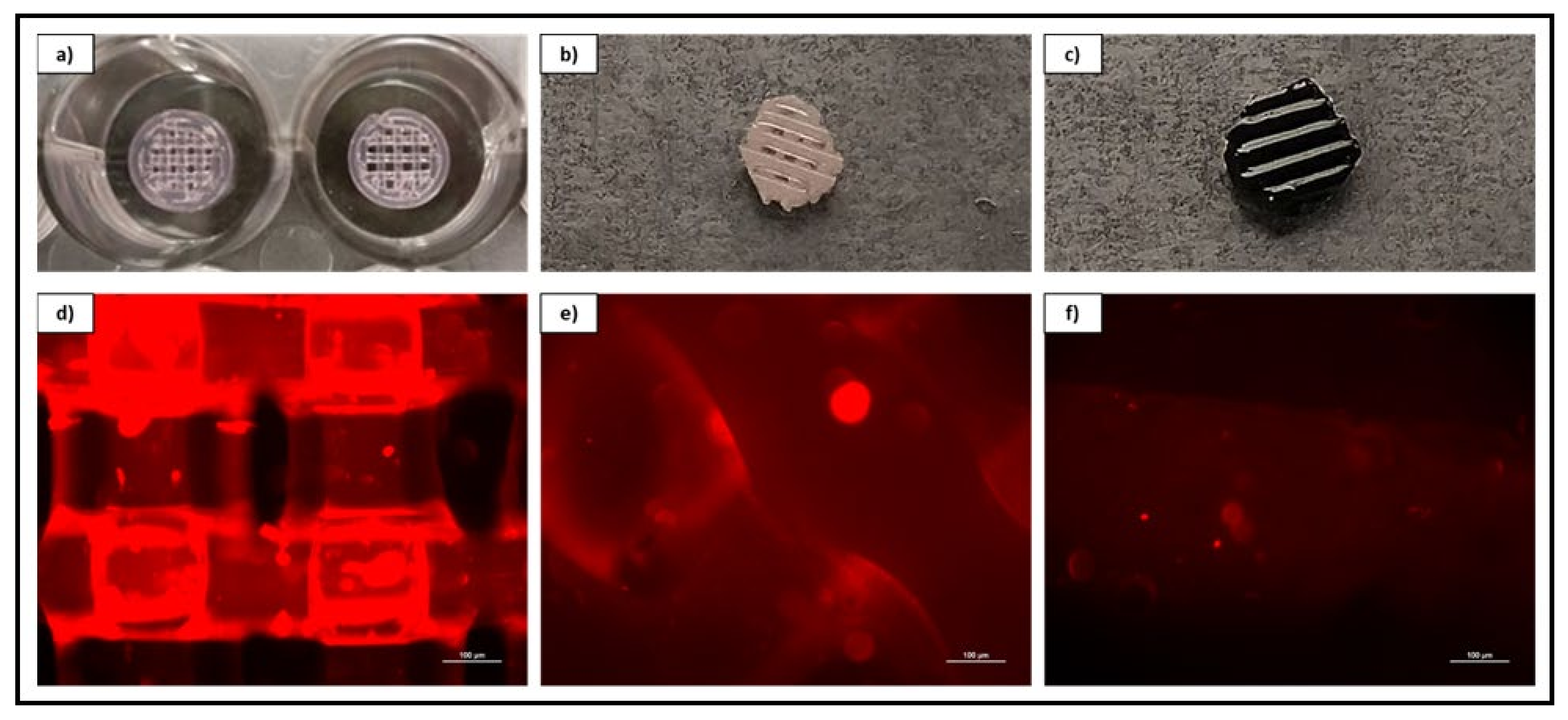 Pharmaceutics 13 02146 g006