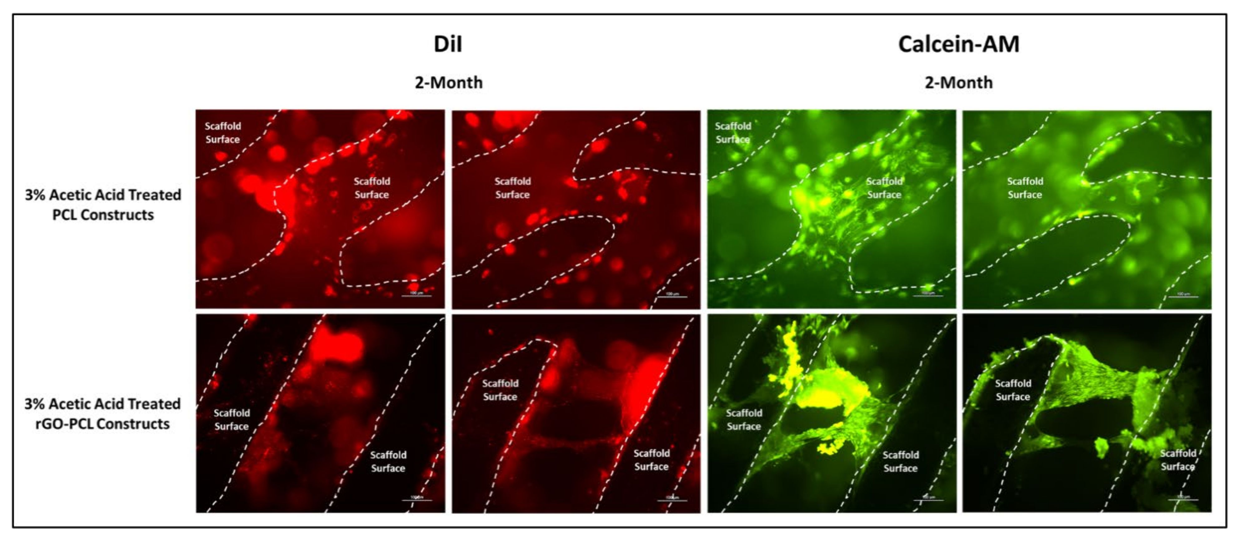 Pharmaceutics 13 02146 g008