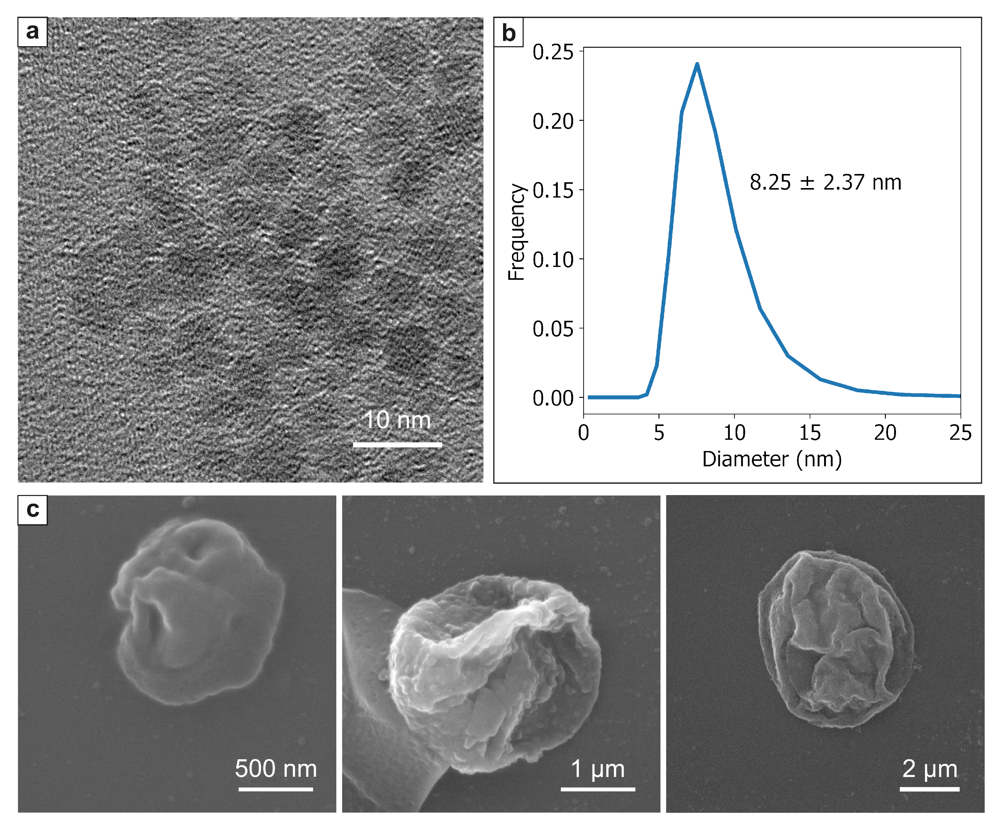 Pharmaceutics 13 02147 g001 550