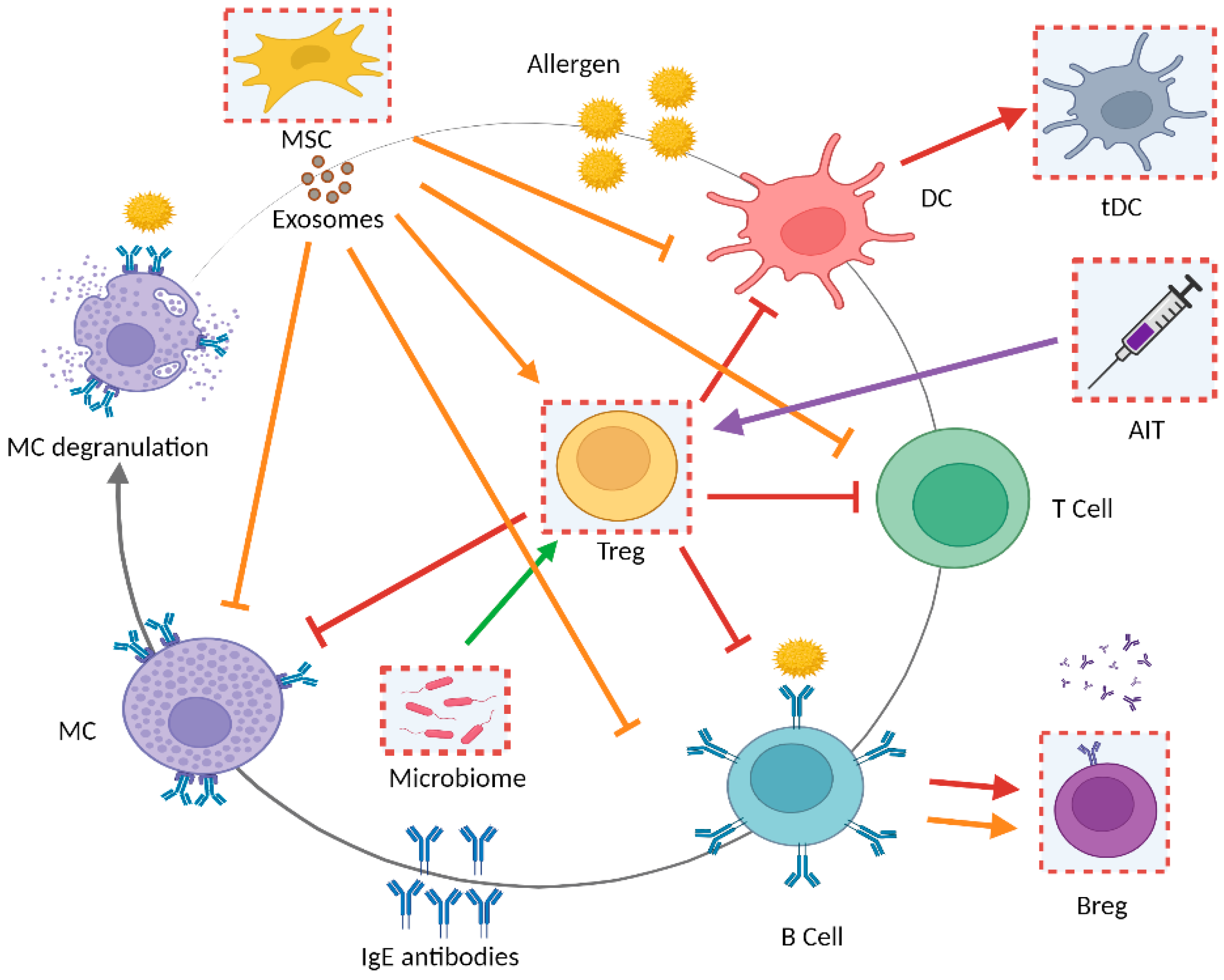 Pharmaceutics 13 02149 g002 Pharmaceutics 13 02149 g002