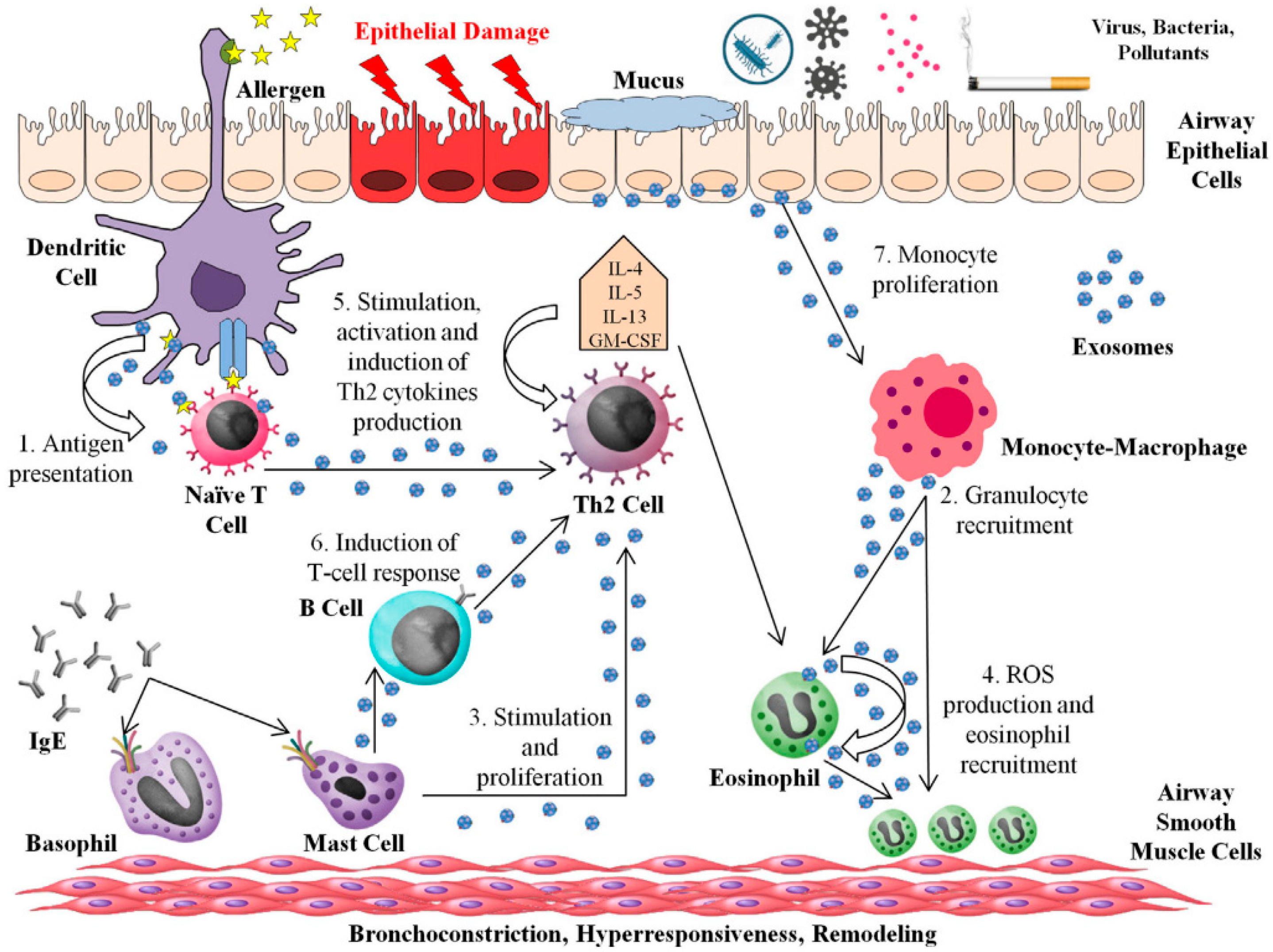 Pharmaceutics 13 02149 g003 Pharmaceutics 13 02149 g003