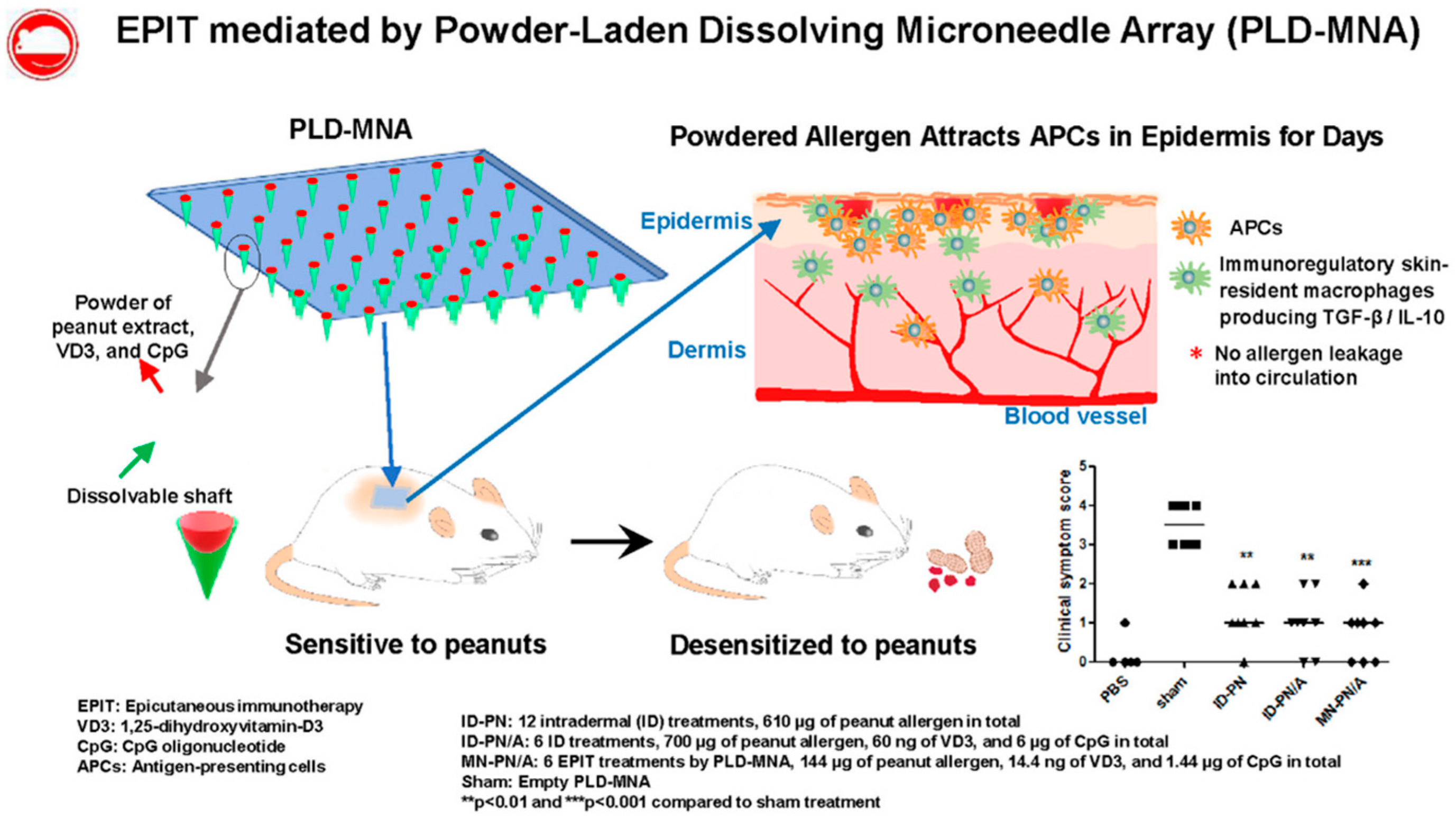 Pharmaceutics 13 02149 g005 Pharmaceutics 13 02149 g005