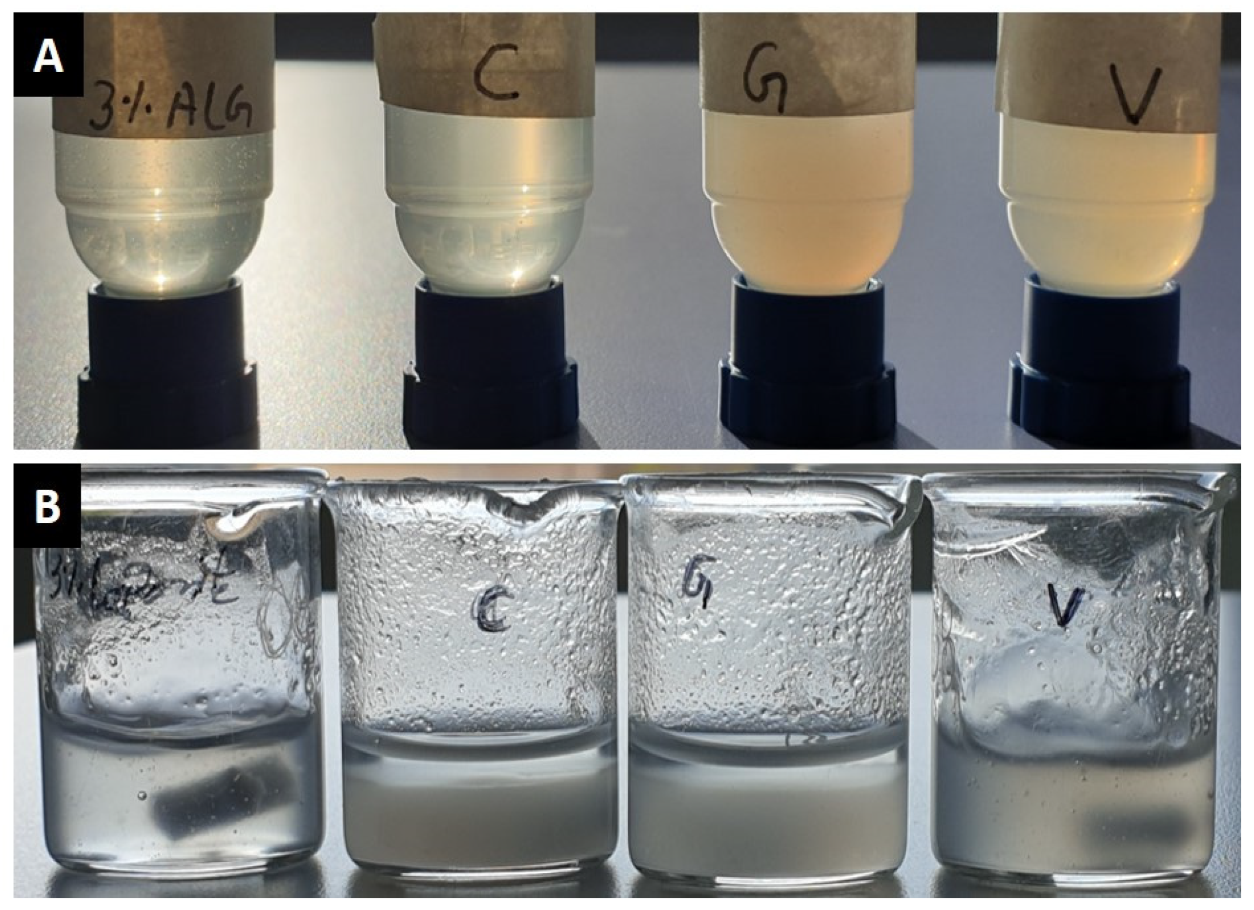 Pharmaceutics 13 02151 g001