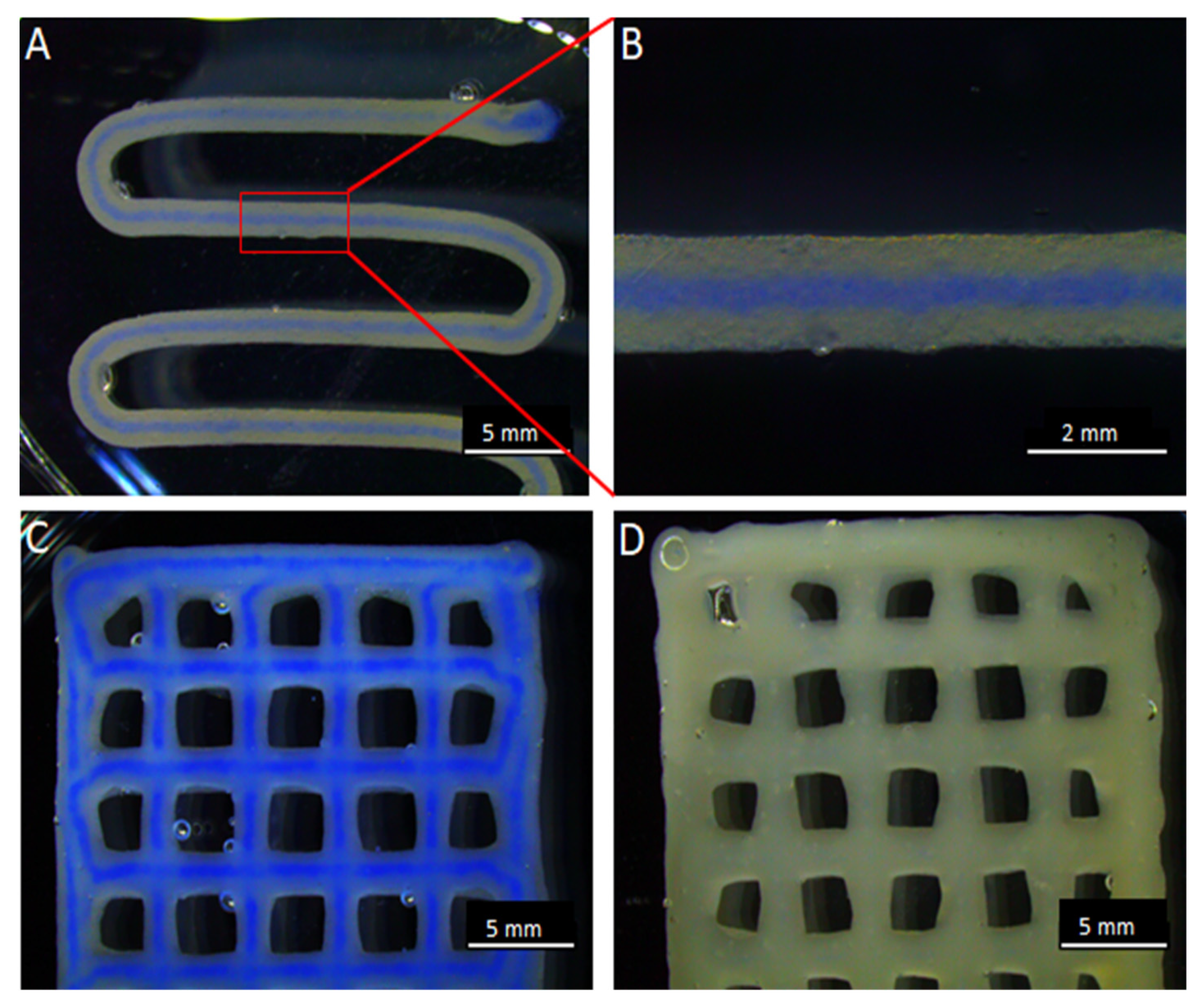Pharmaceutics 13 02151 g003