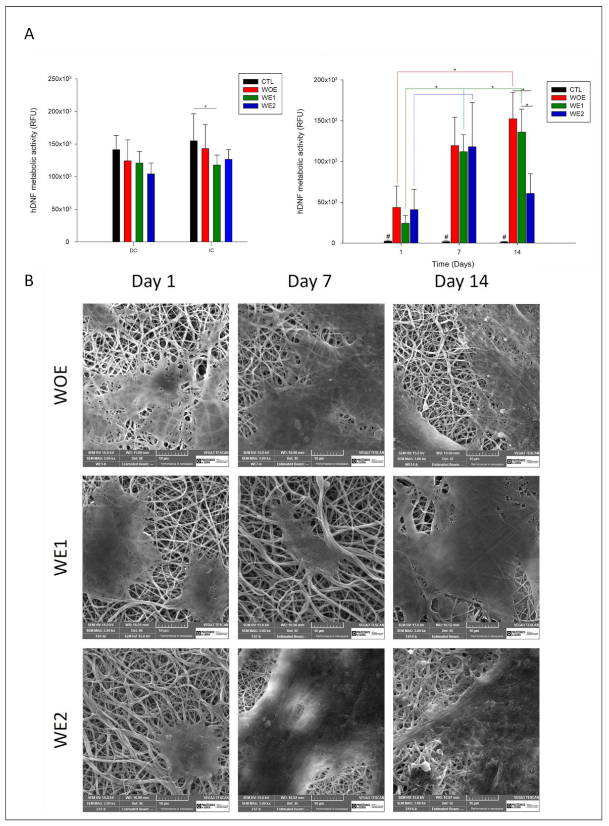 Pharmaceutics 13 02152 g005