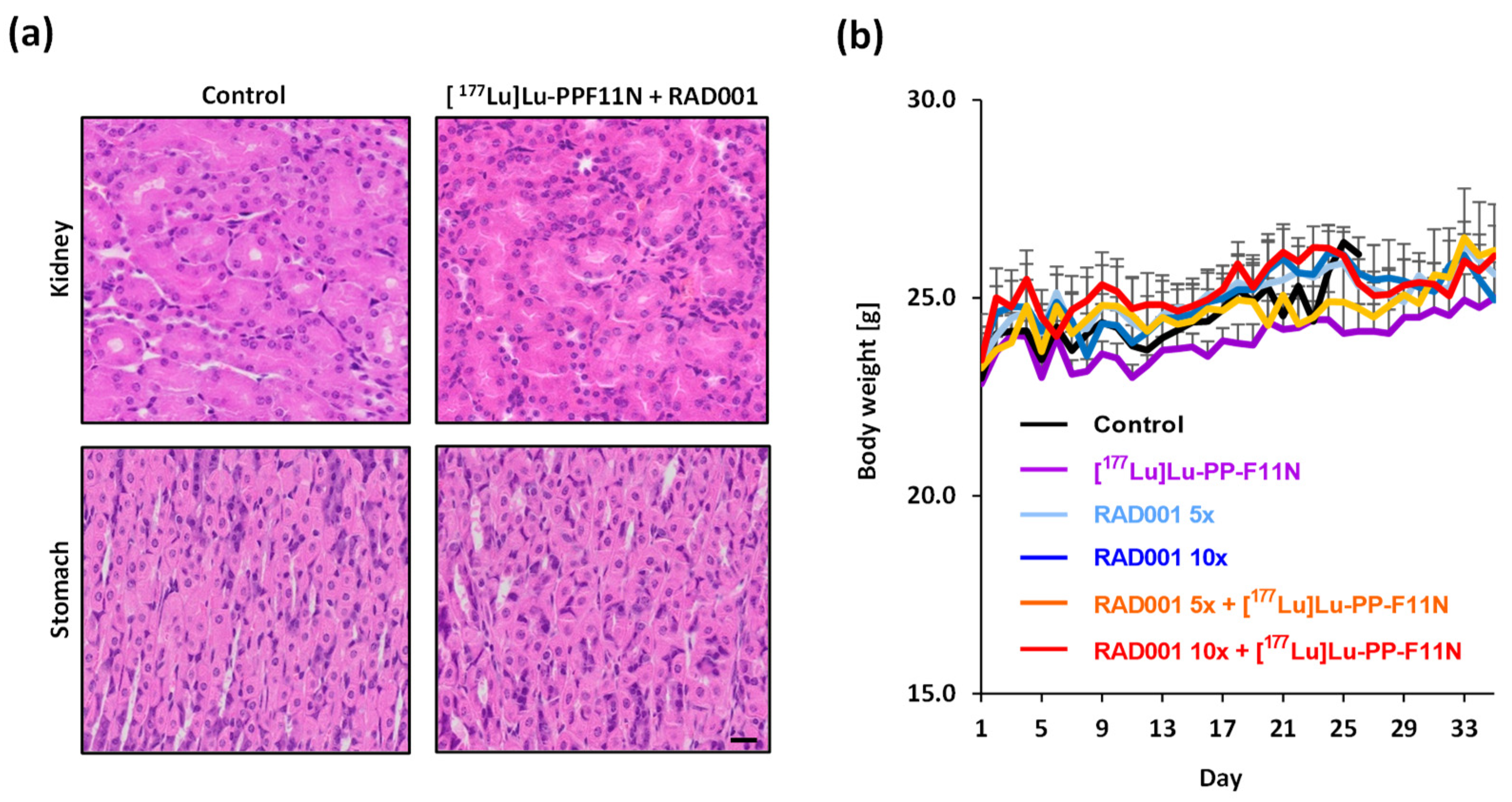 Pharmaceutics 13 02156 g003