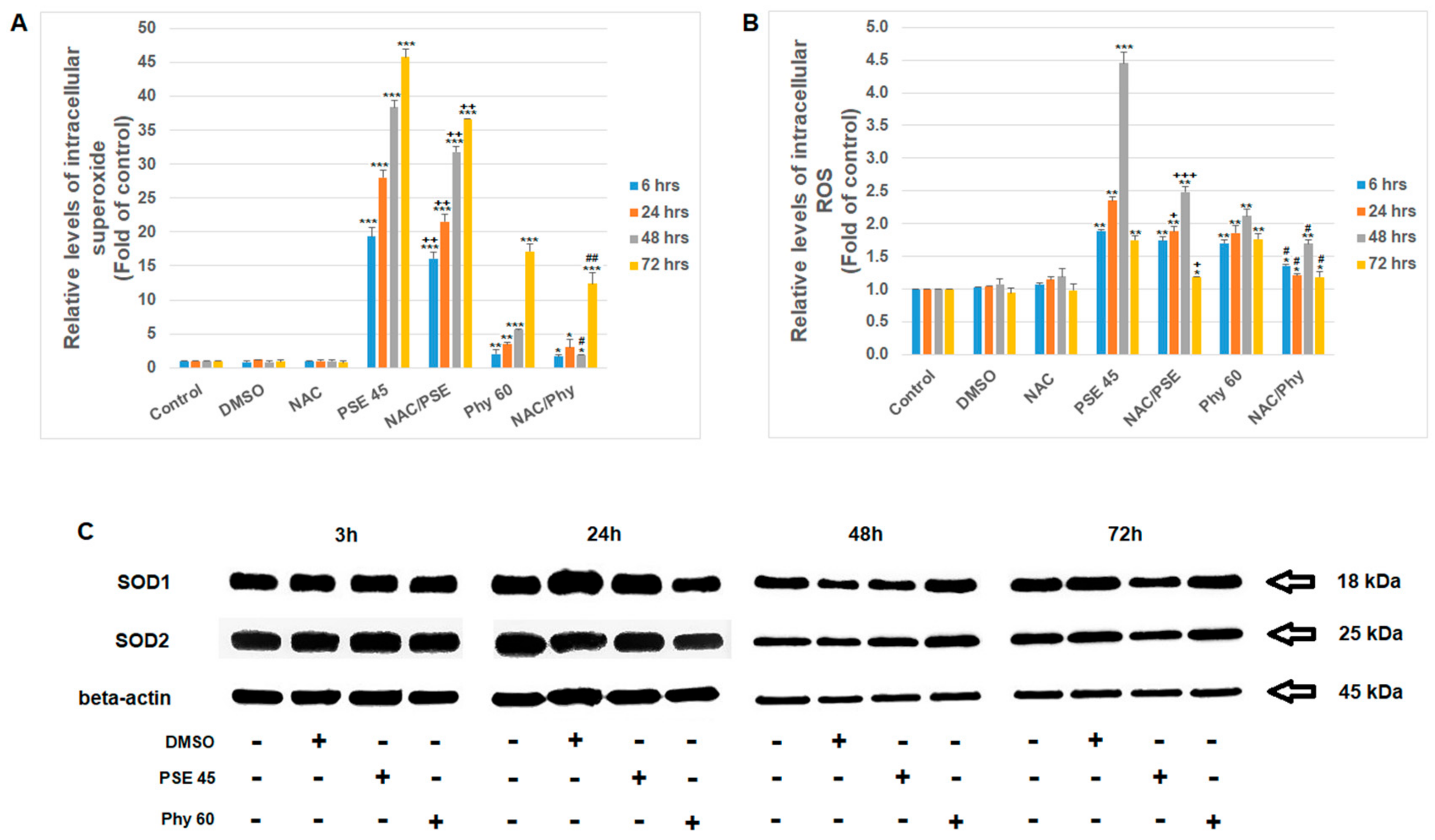 Pharmaceutics 13 02173 g003 550