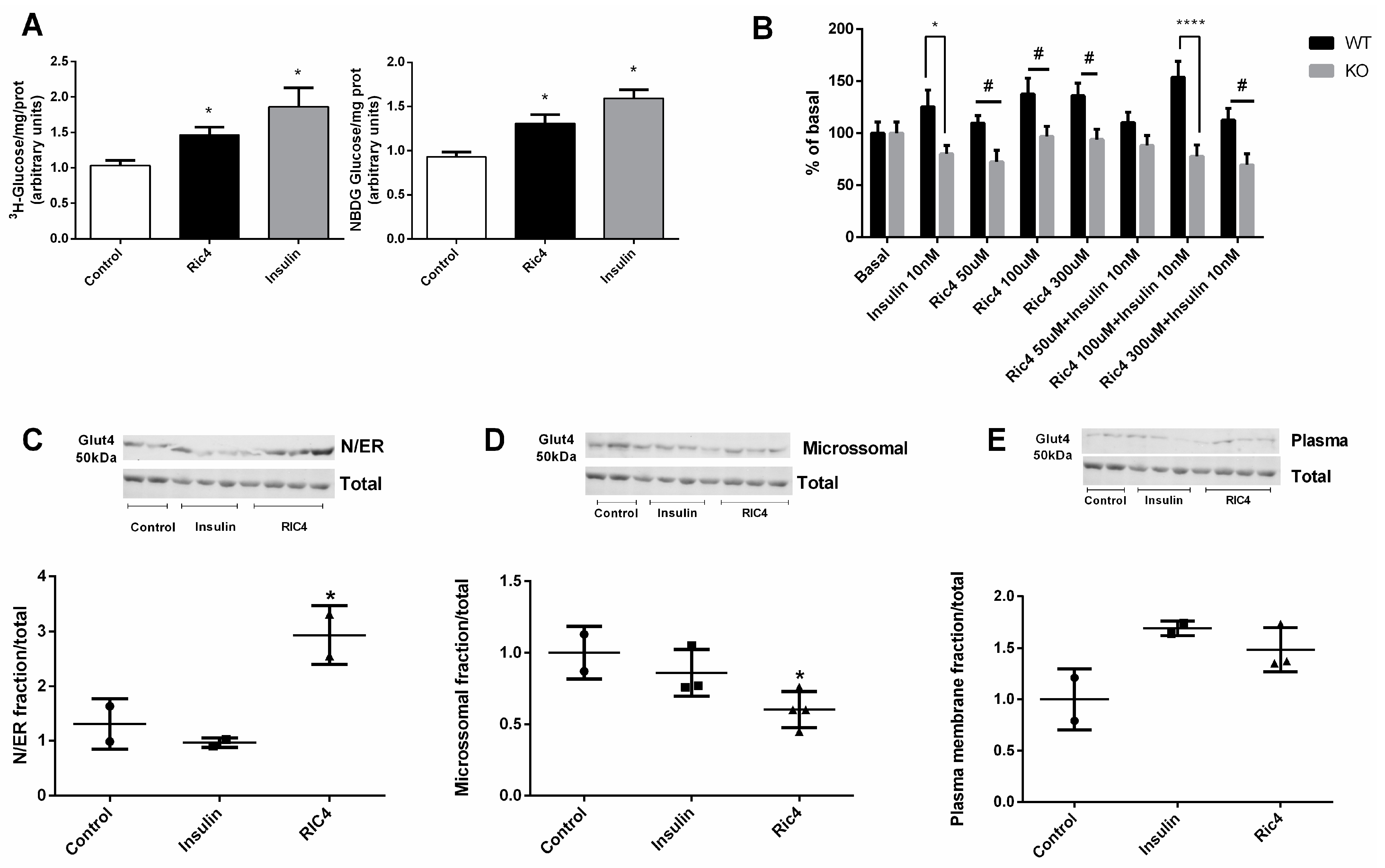 Pharmaceutics 13 02175 g004 Pharmaceutics 13 02175 g004