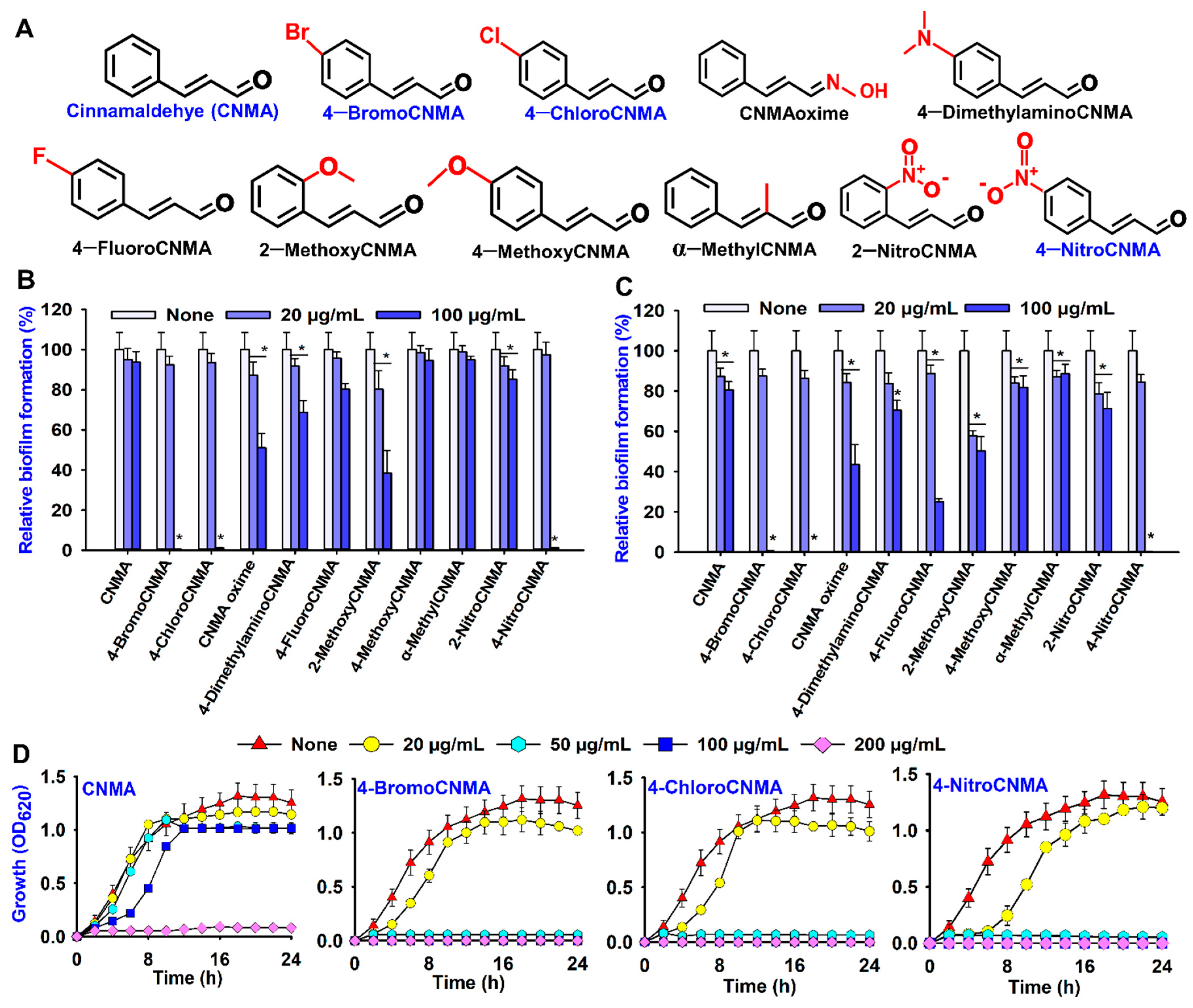 Pharmaceutics 13 02176 g001