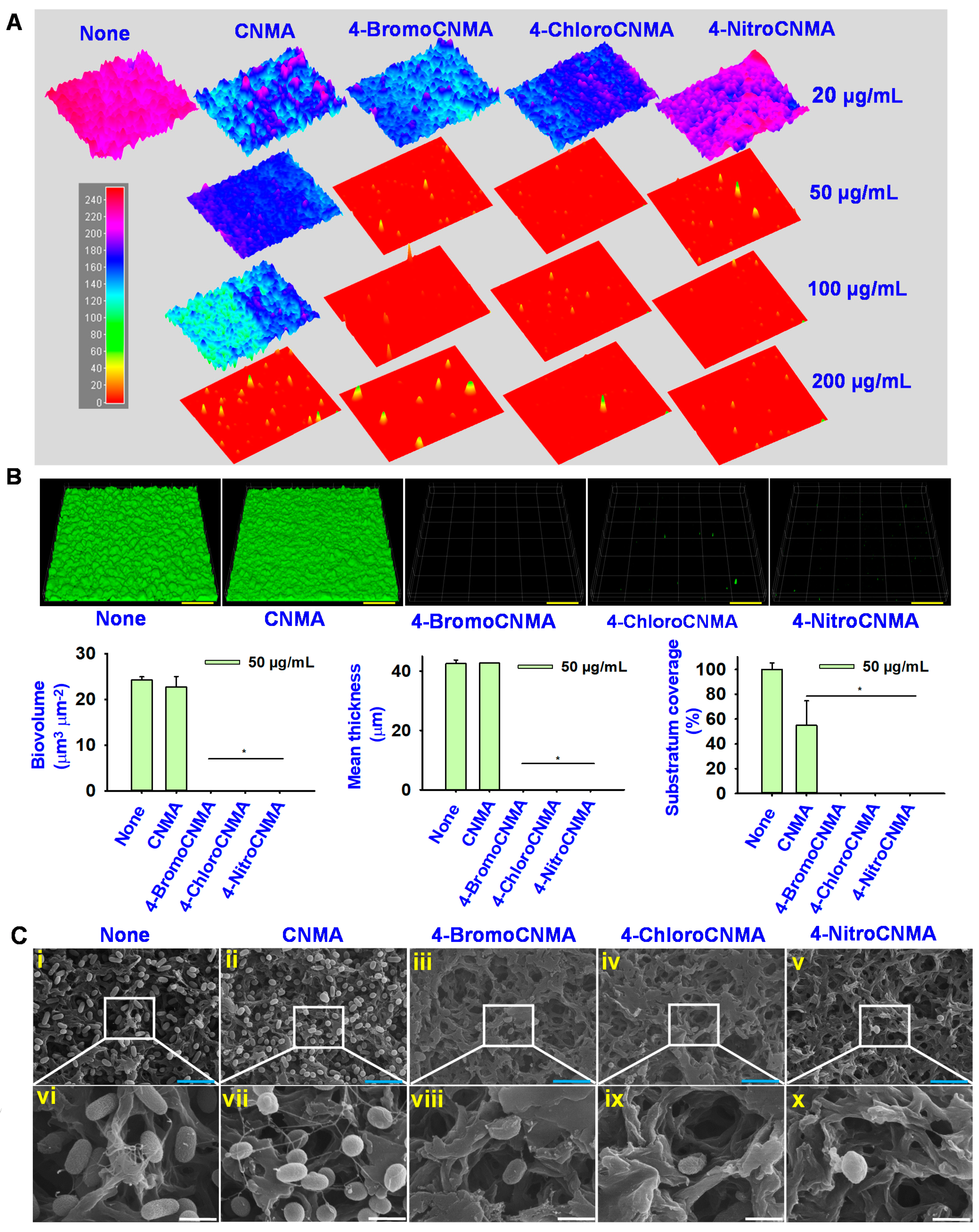 Pharmaceutics 13 02176 g002