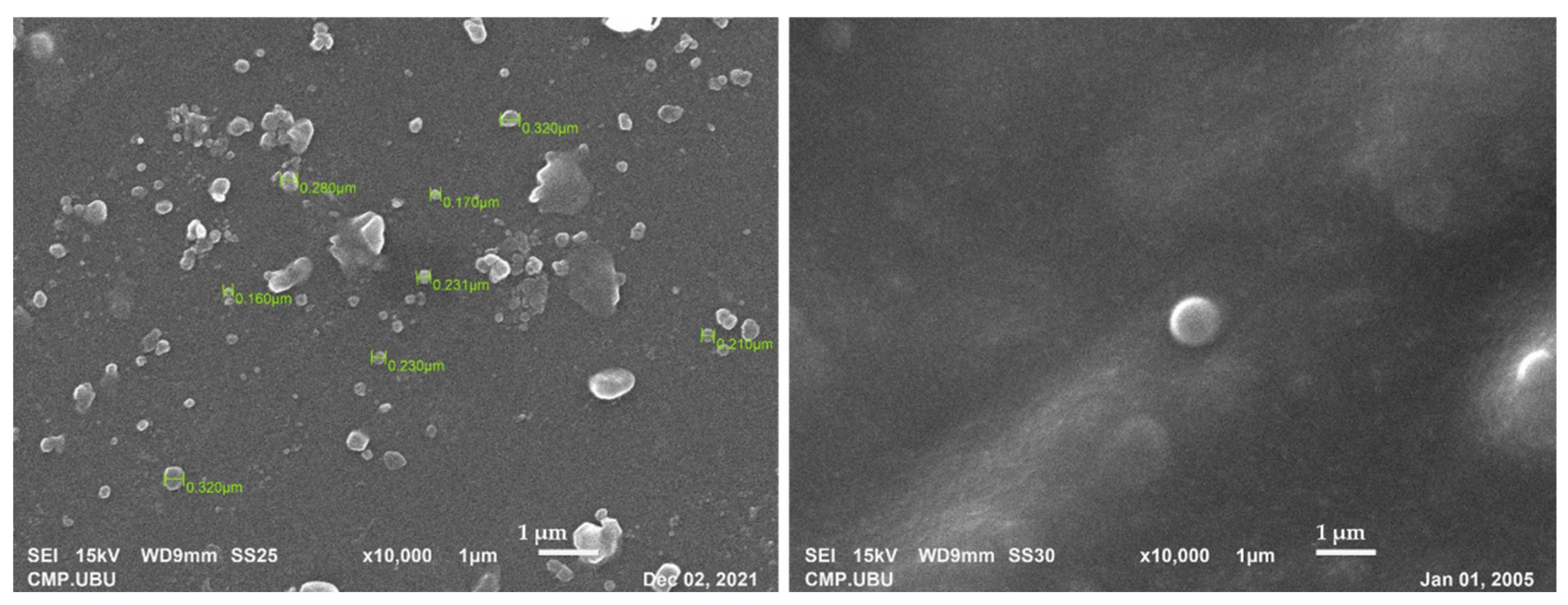 Pharmaceutics 13 02177 g004 550