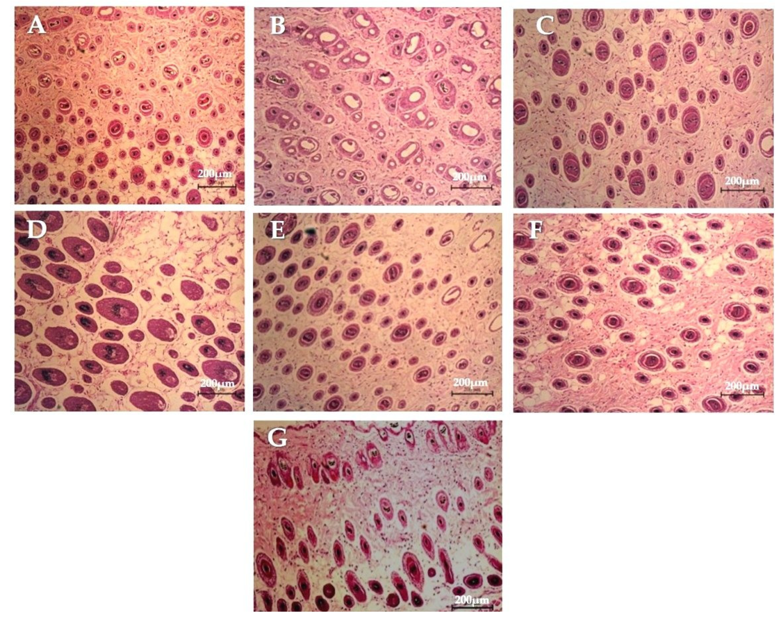 Pharmaceutics 13 02177 g010 550