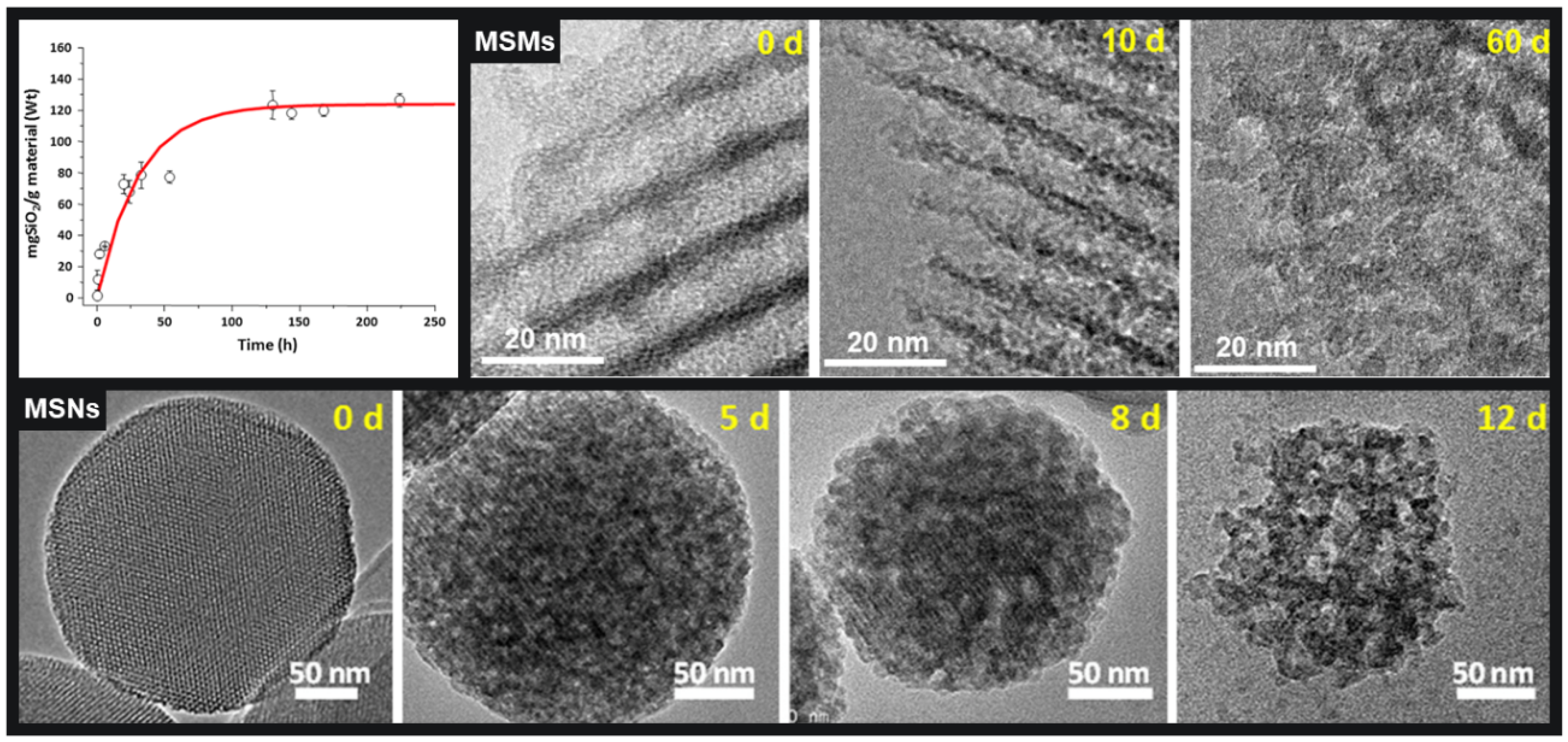 Pharmaceutics 13 02179 g002
