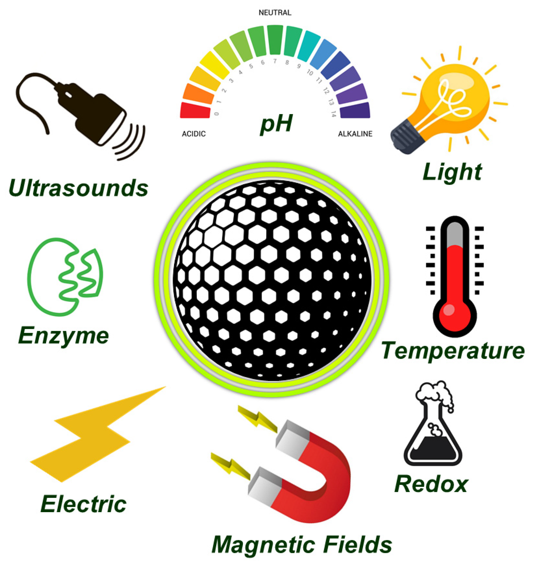 Pharmaceutics 13 02179 g003
