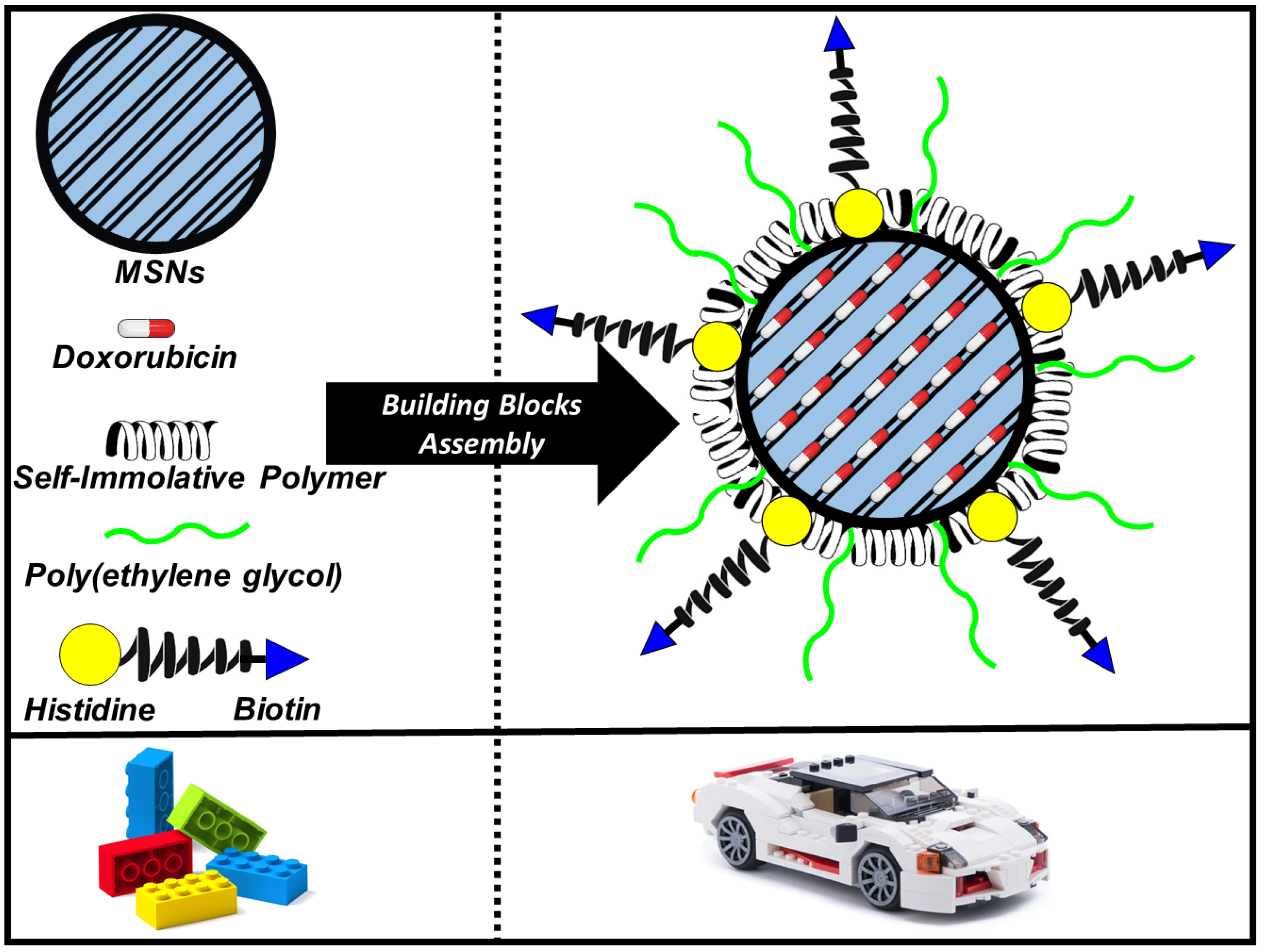 Pharmaceutics 13 02179 g004