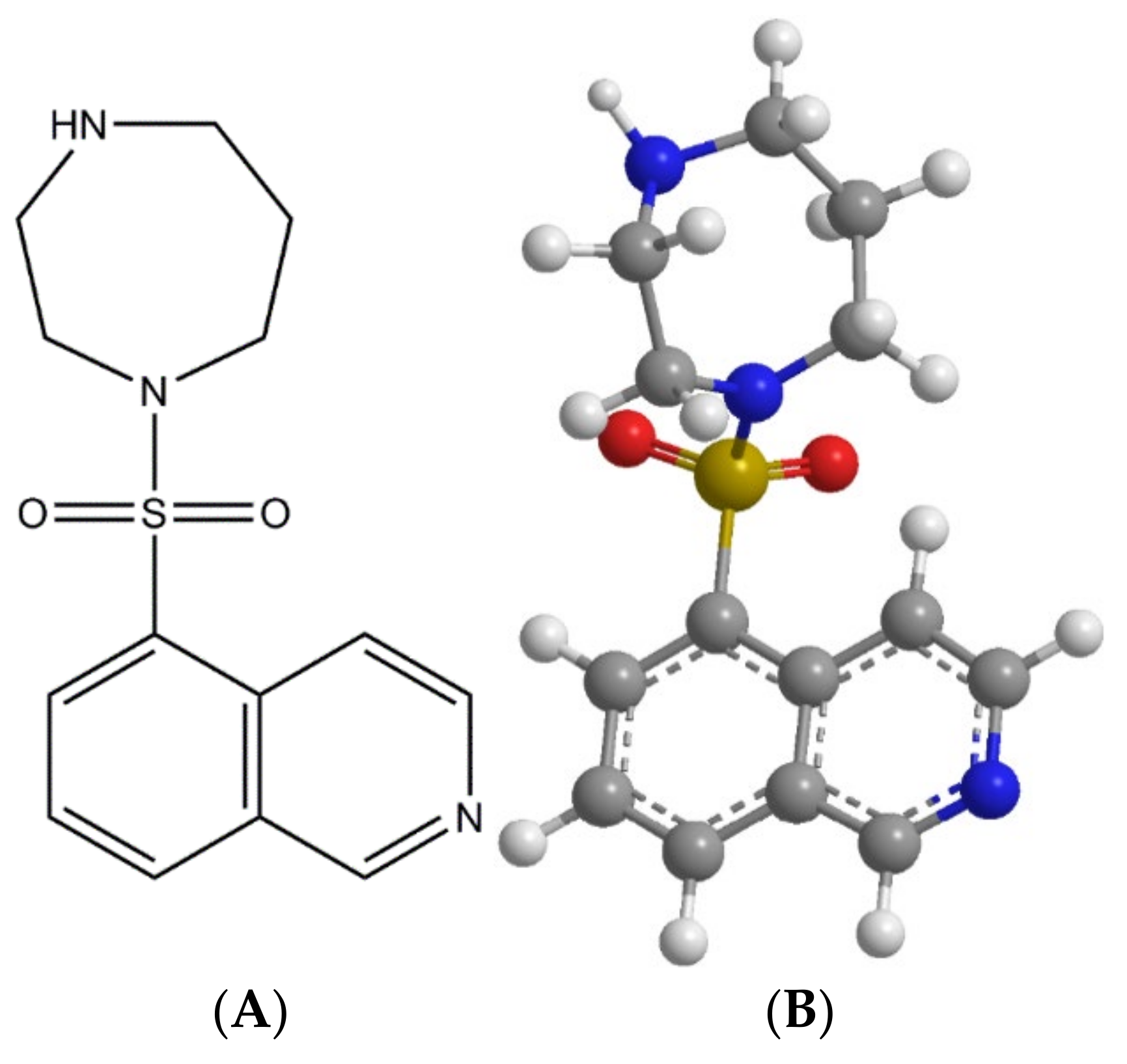 Pharmaceutics 13 02188 g001 Pharmaceutics 13 02188 g001