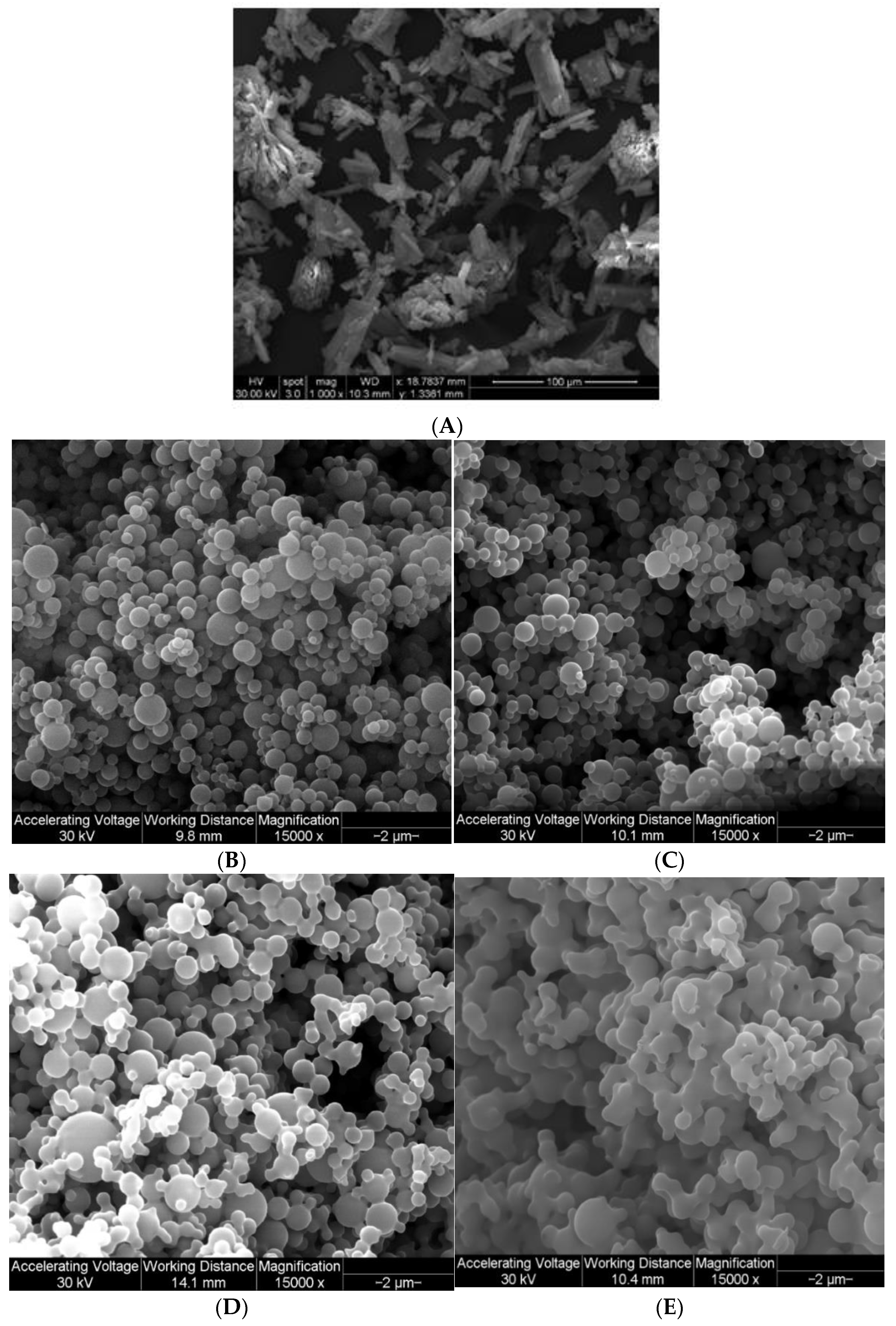 Pharmaceutics 13 02188 g002 Pharmaceutics 13 02188 g002