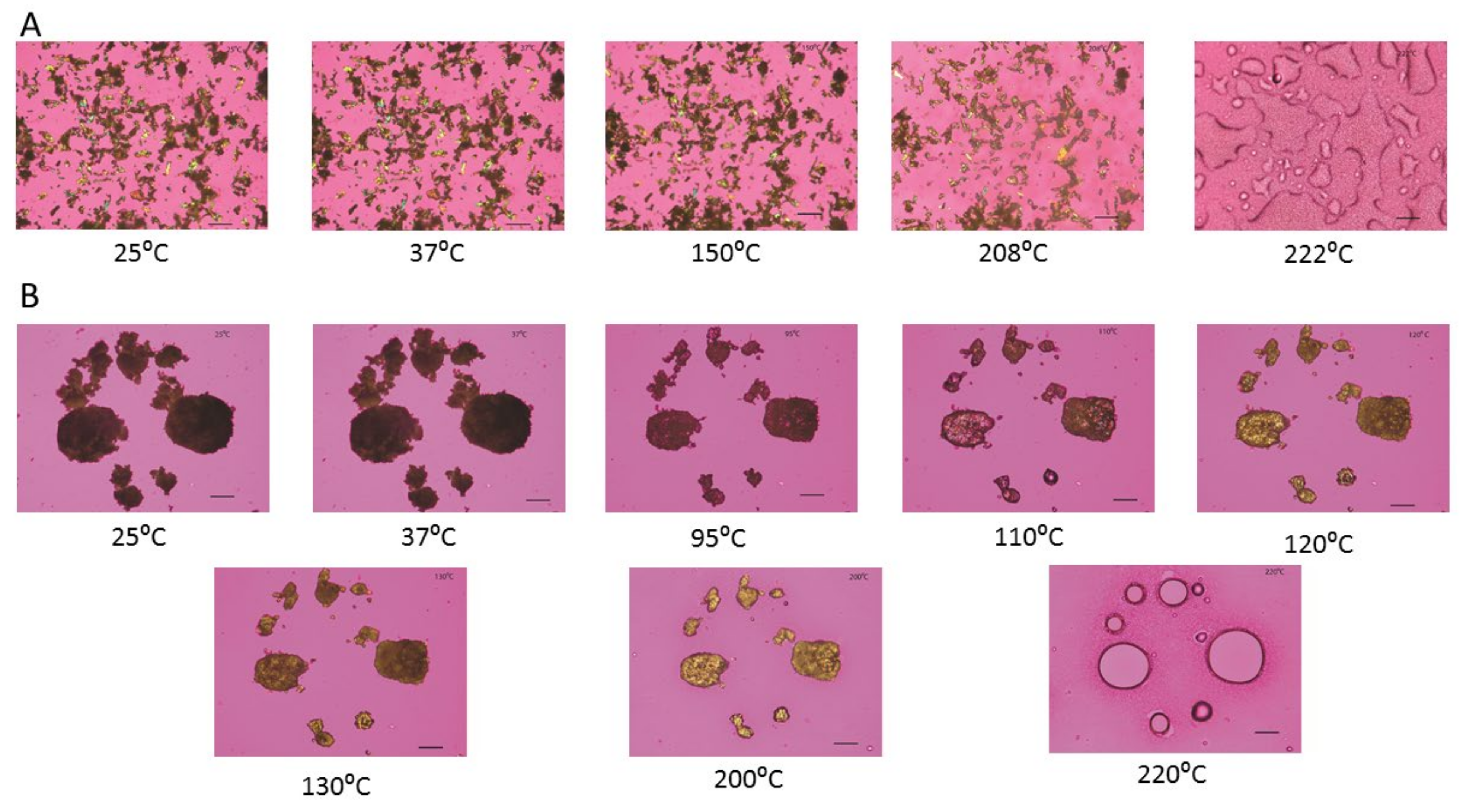Pharmaceutics 13 02188 g006a Pharmaceutics 13 02188 g006a