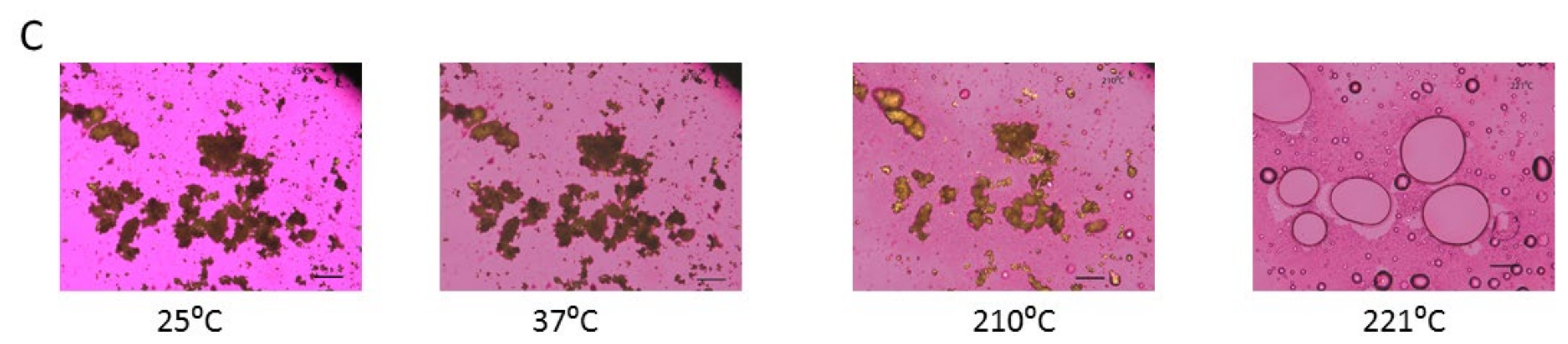Pharmaceutics 13 02188 g006b Pharmaceutics 13 02188 g006b