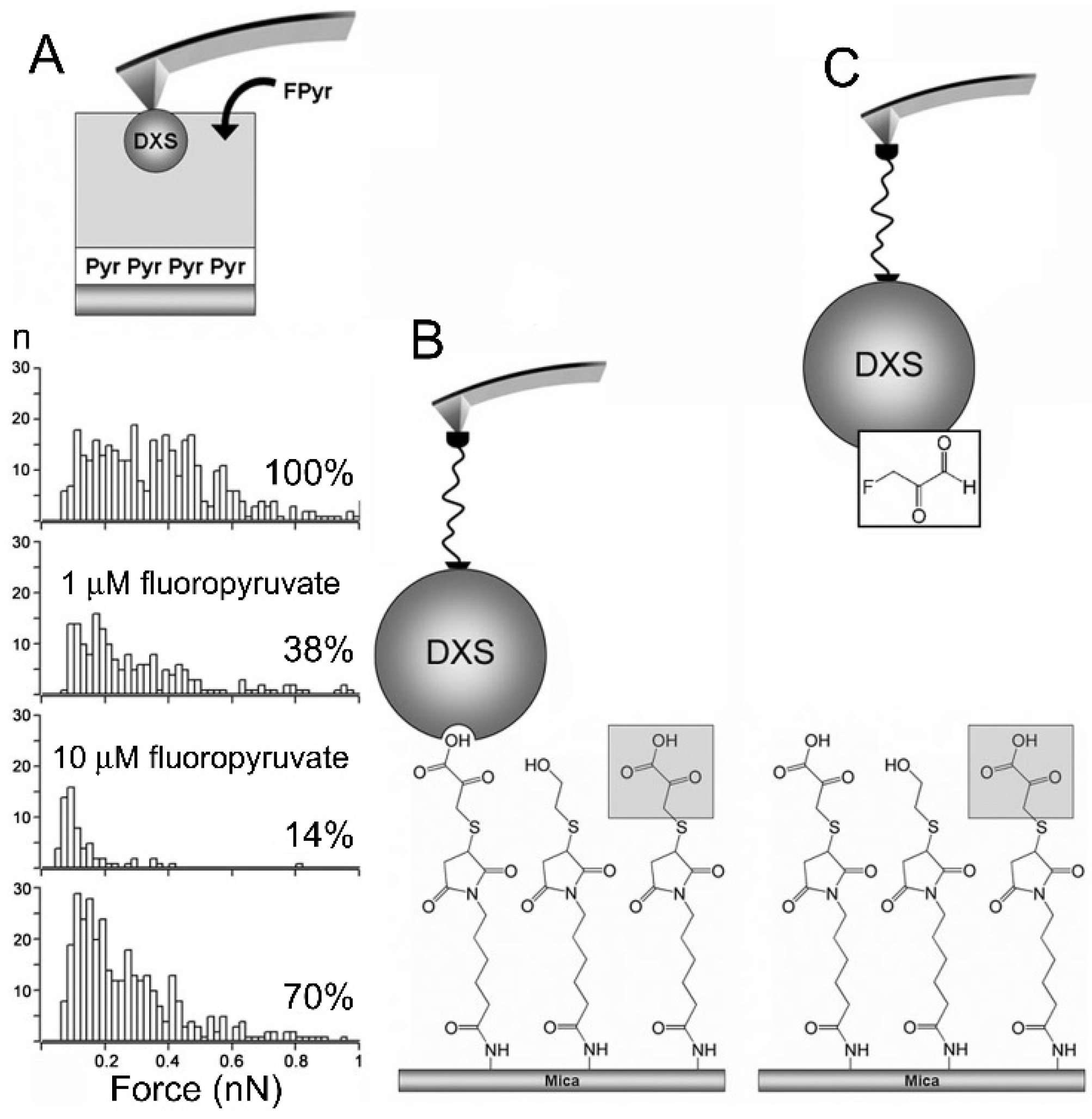 Pharmaceutics 13 02189 g007 Pharmaceutics 13 02189 g007