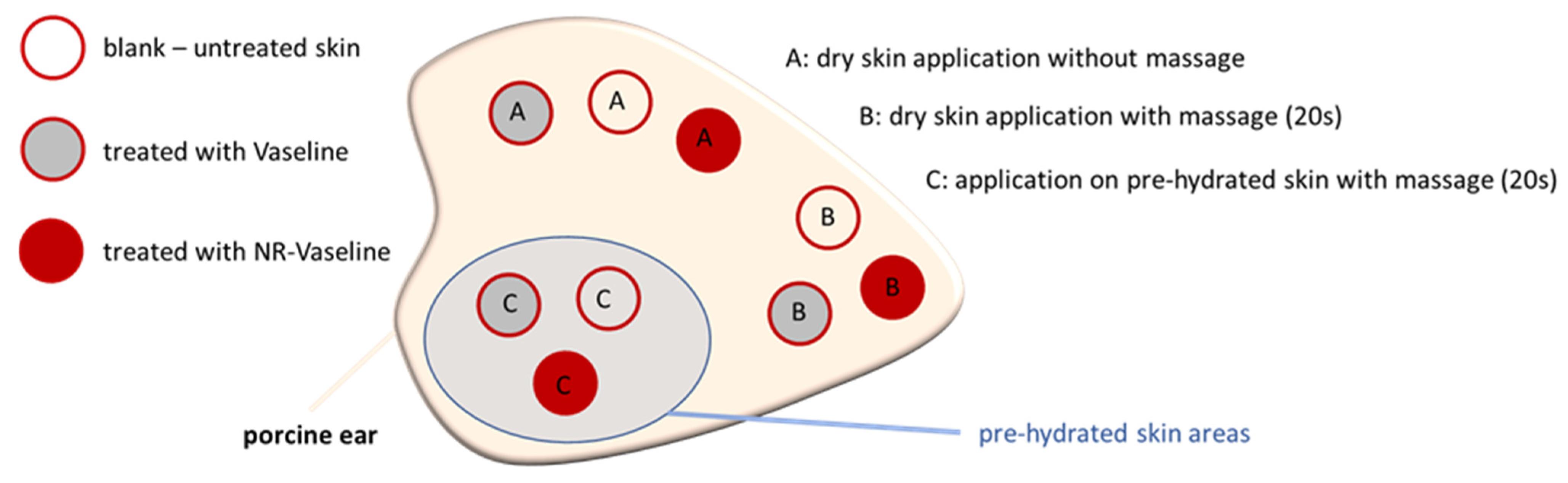 Pharmaceutics 13 02190 g001 550