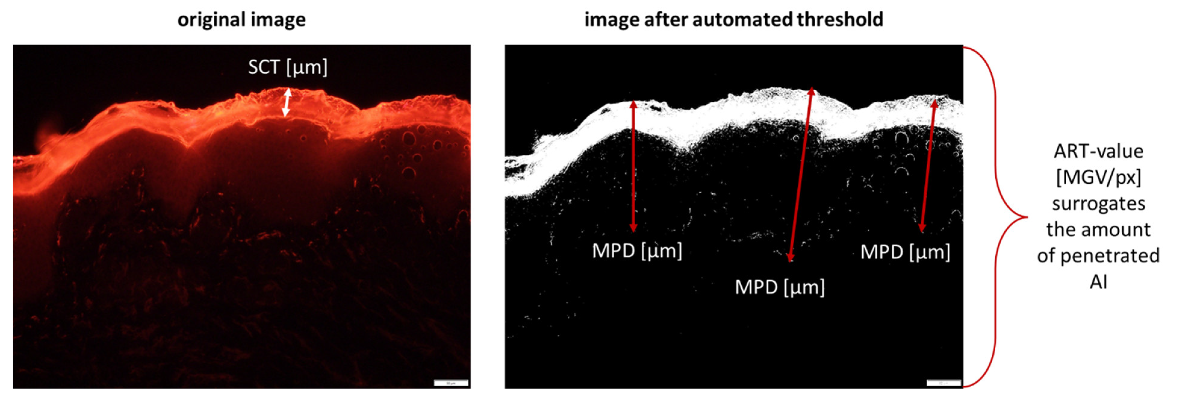 Pharmaceutics 13 02190 g002 550
