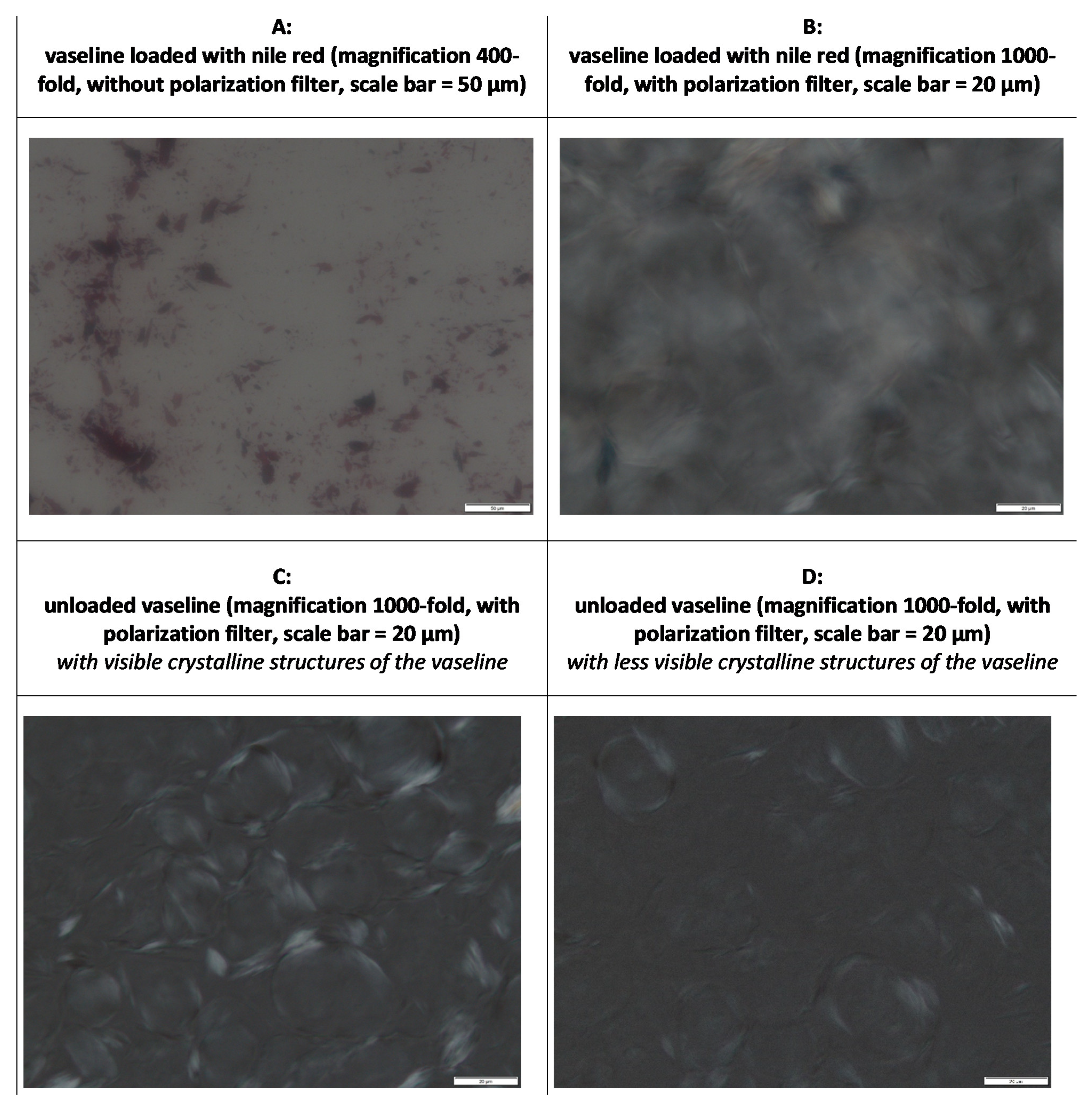 Pharmaceutics 13 02190 g003 550