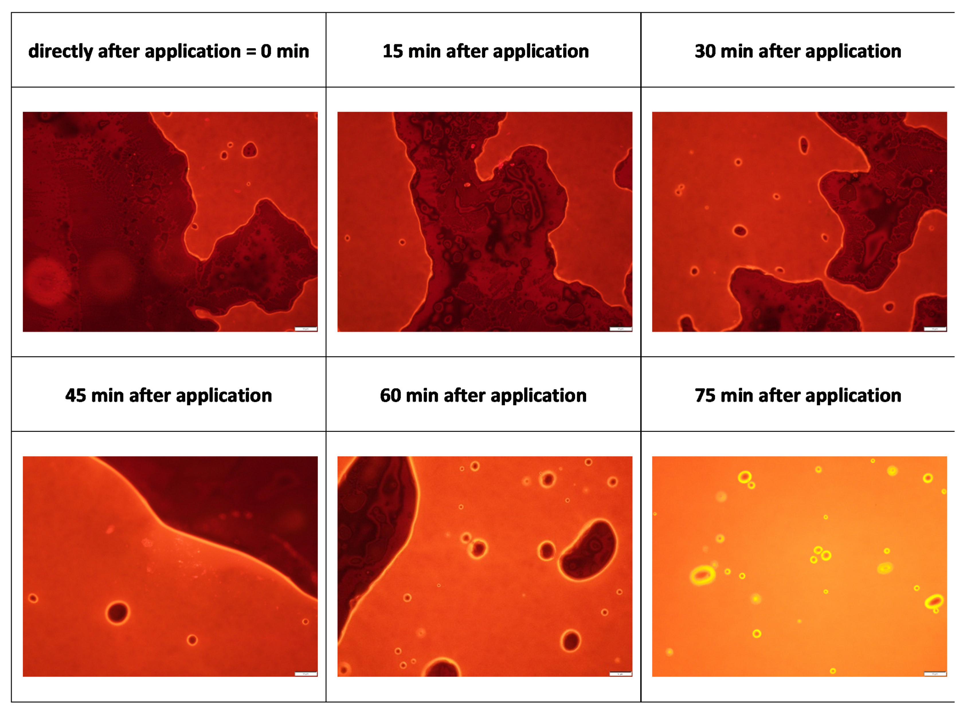 Pharmaceutics 13 02190 g004 550