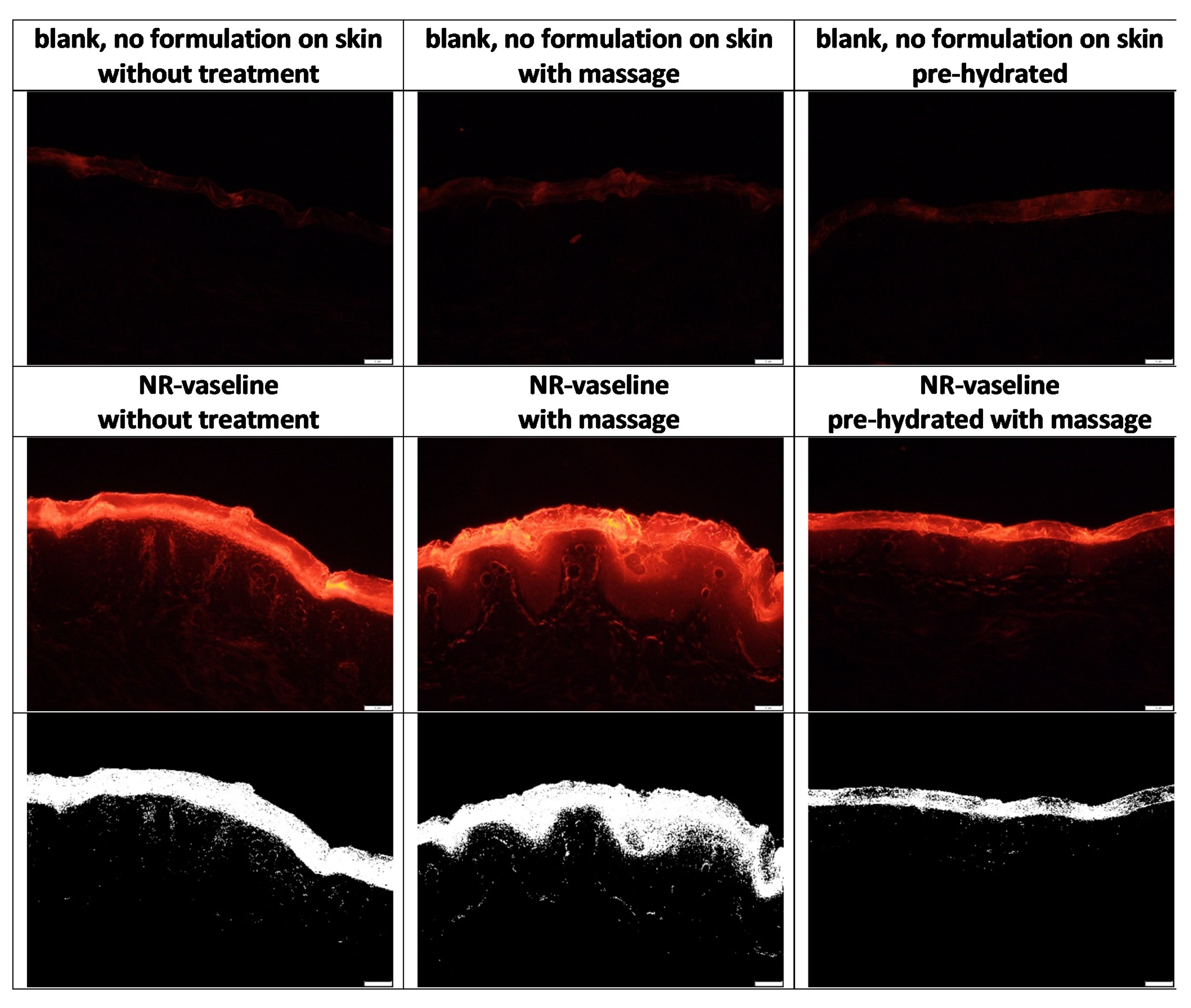 Pharmaceutics 13 02190 g005 550