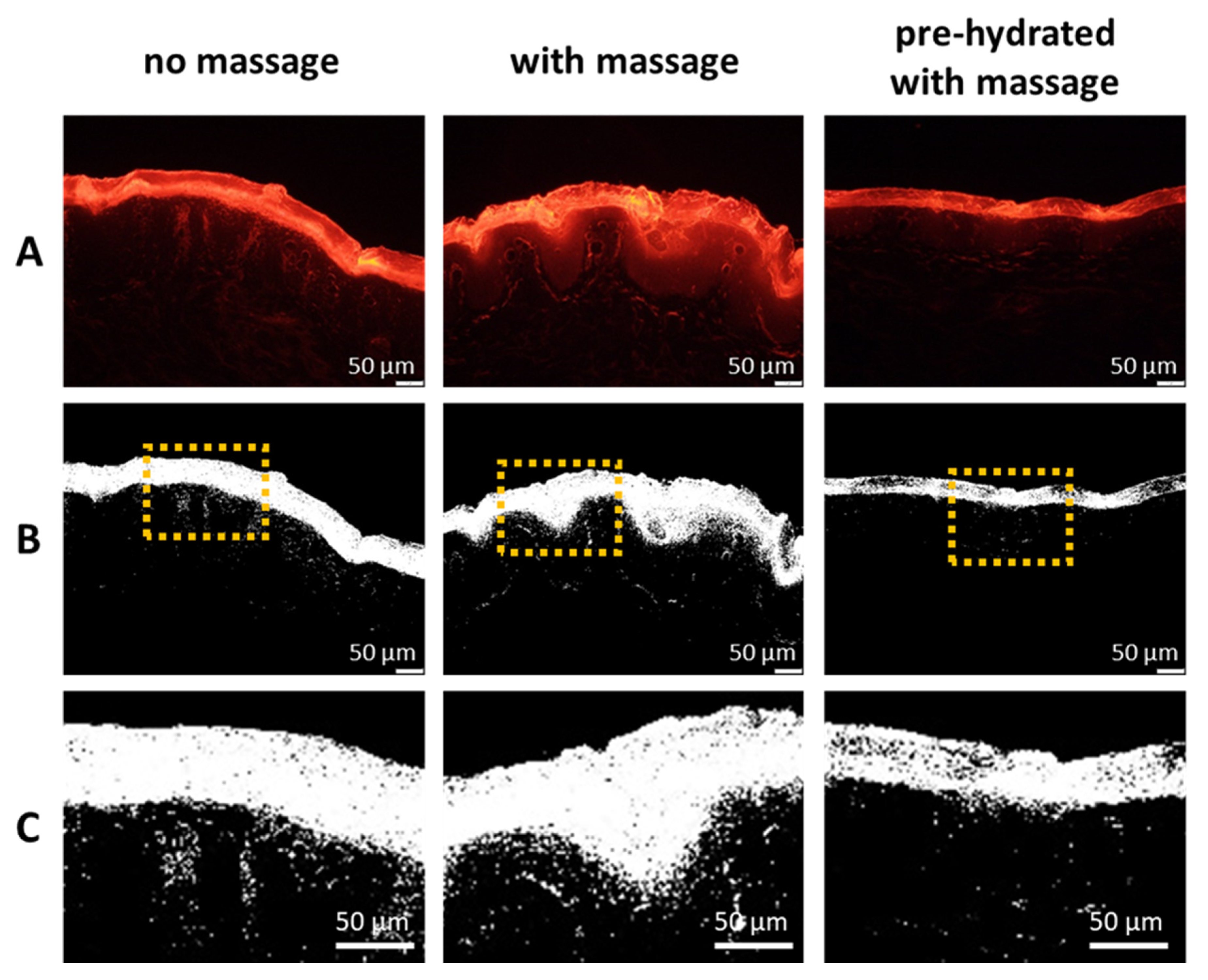 Pharmaceutics 13 02190 g010 550