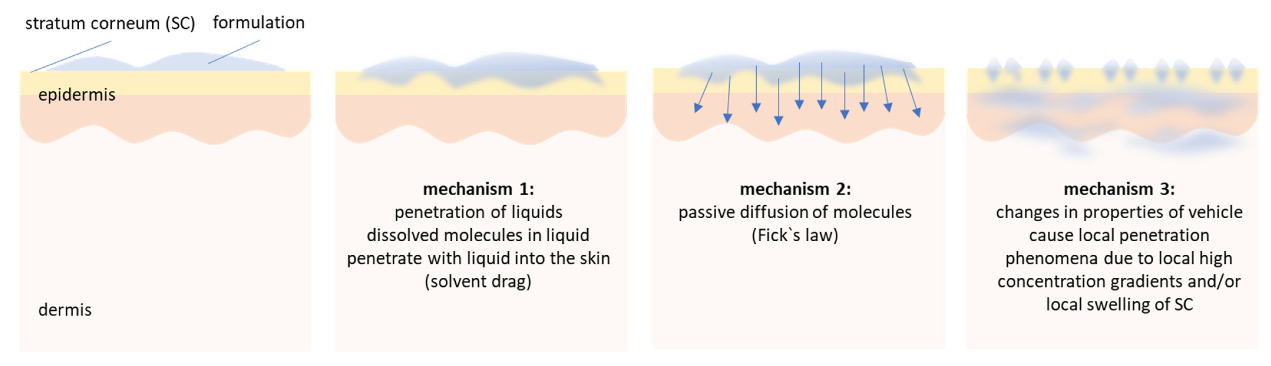 Pharmaceutics 13 02190 g013 550