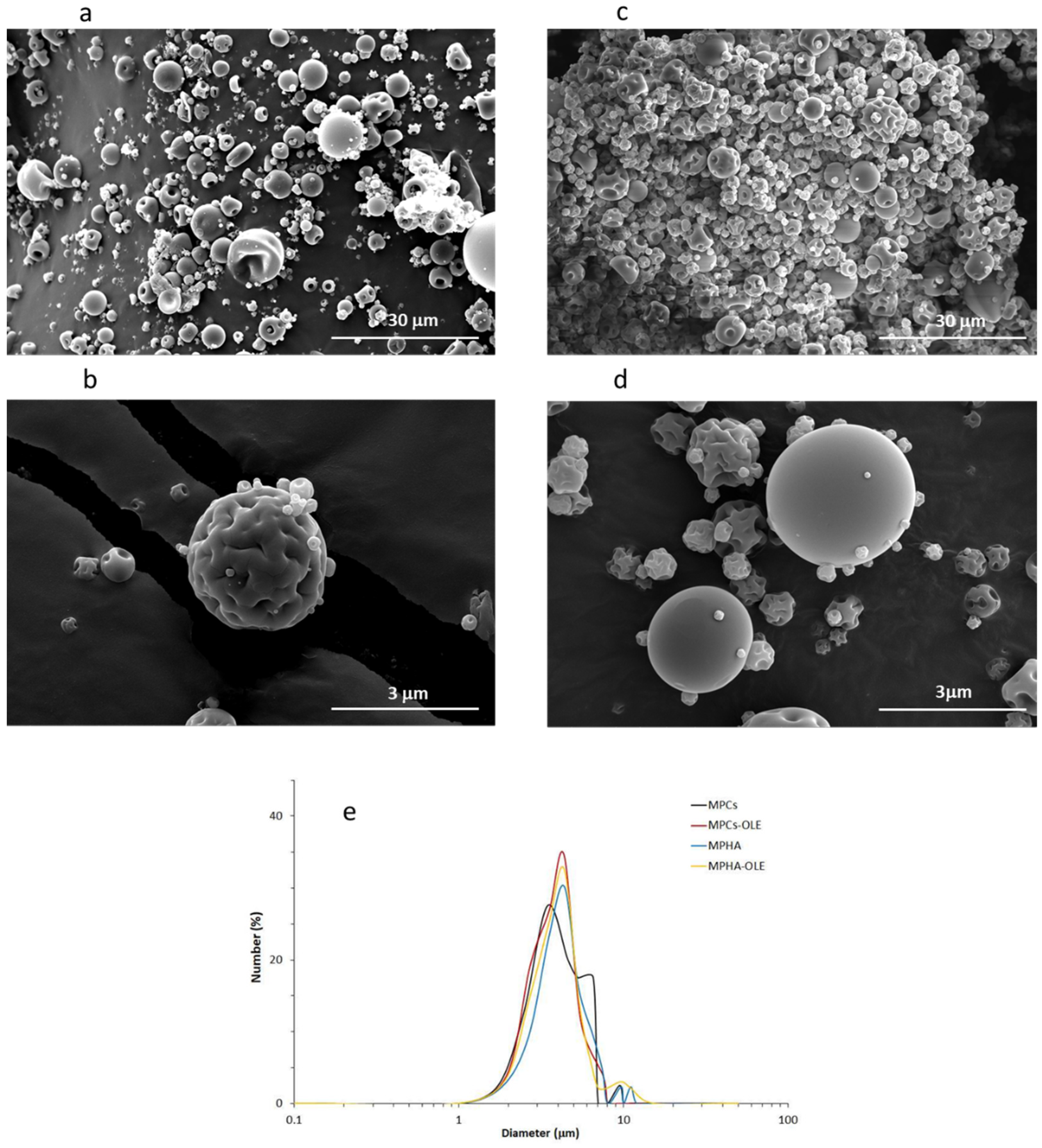 Pharmaceutics 13 02195 g002