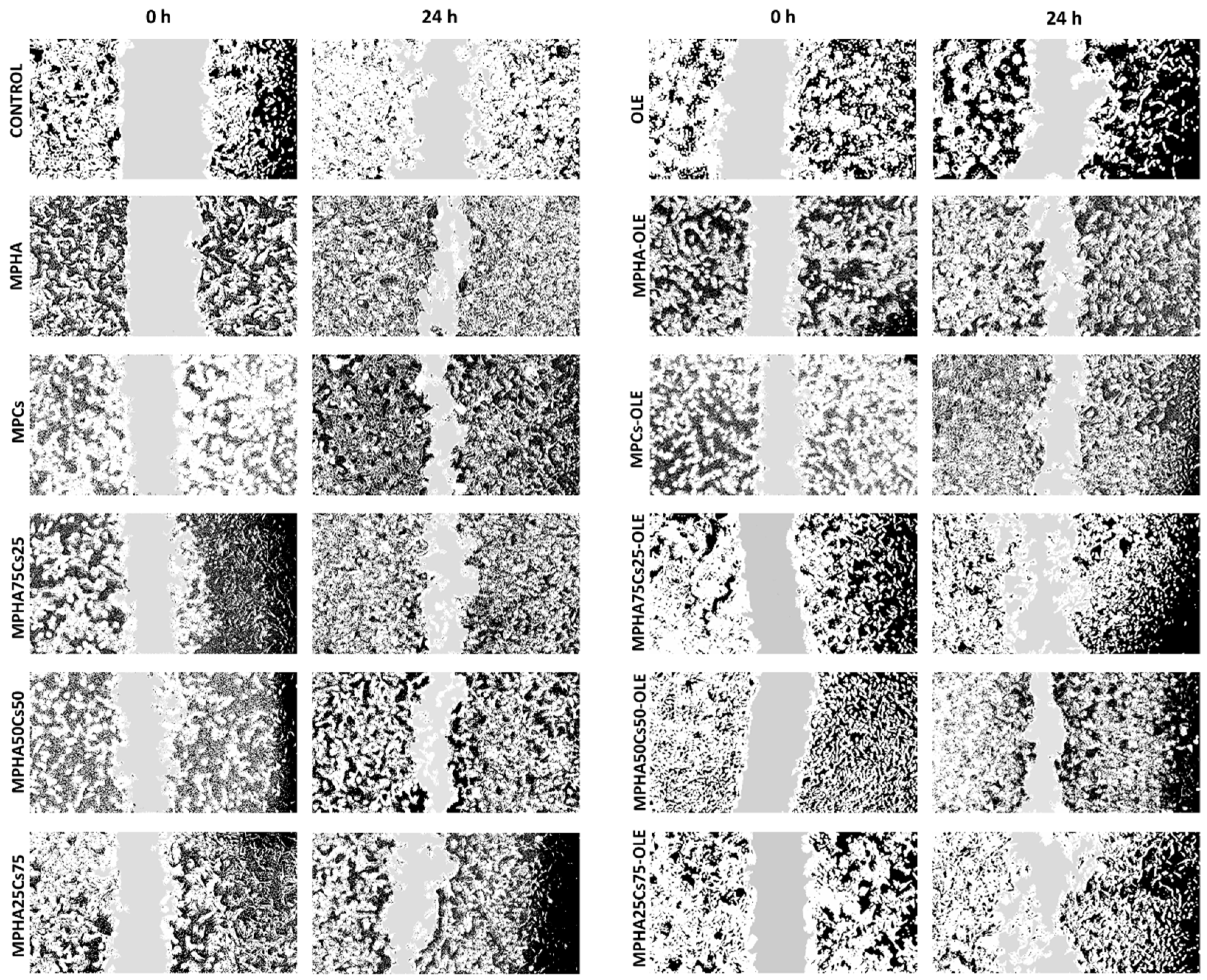 Pharmaceutics 13 02195 g008