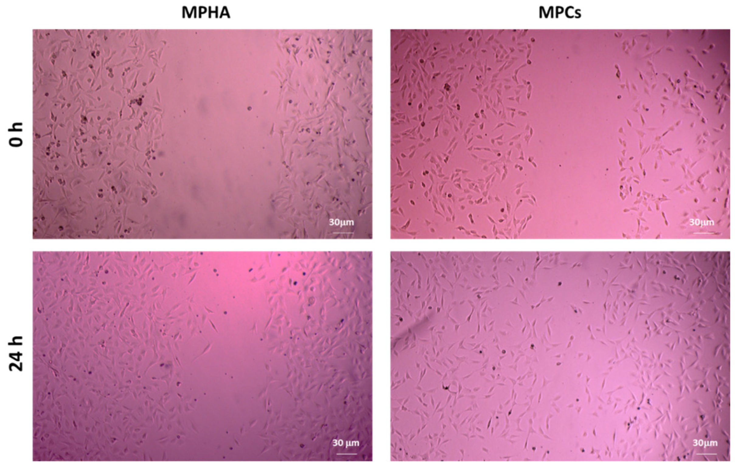 Pharmaceutics 13 02195 g010