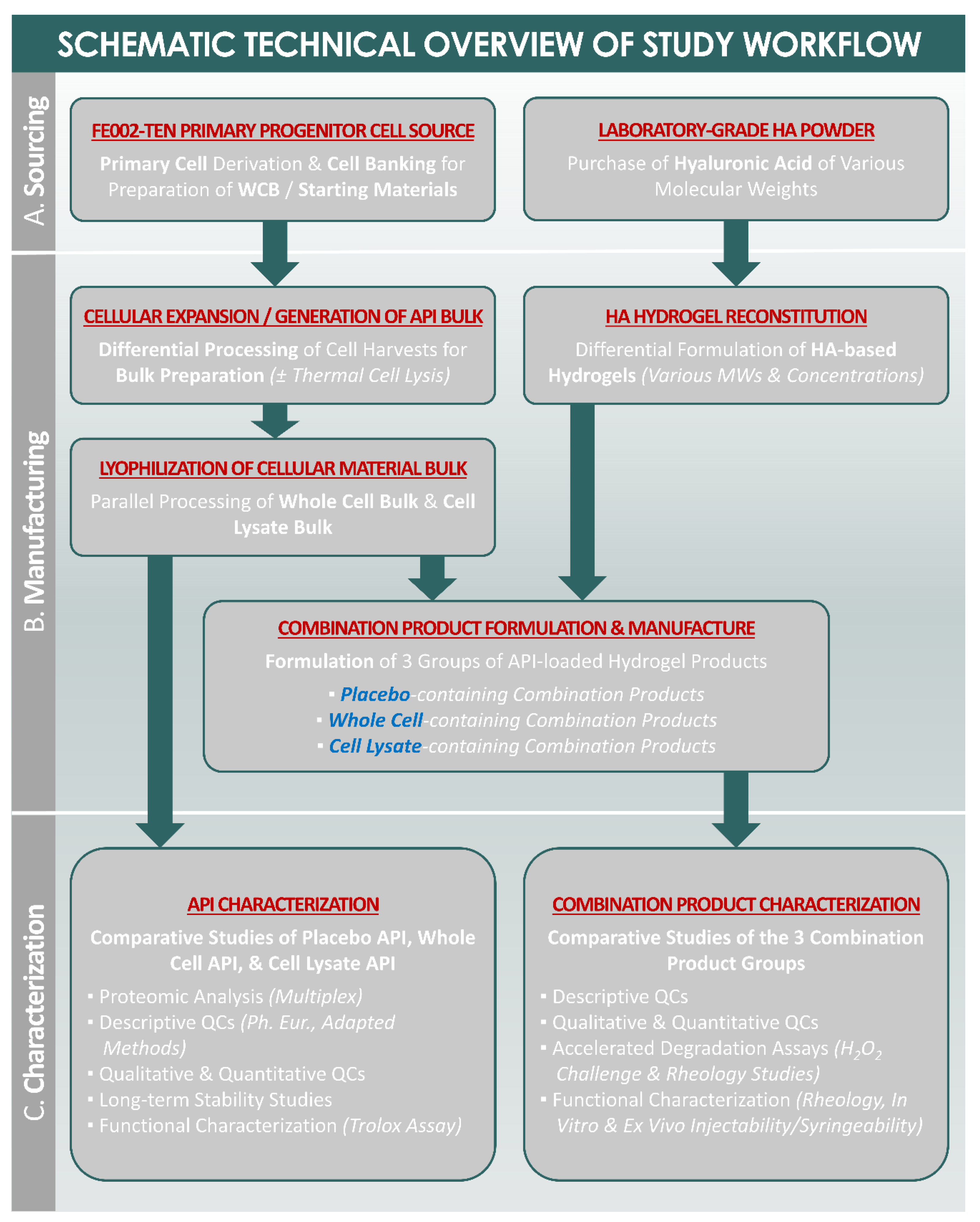 Pharmaceutics 13 02196 g0a1 Pharmaceutics 13 02196 g0a1