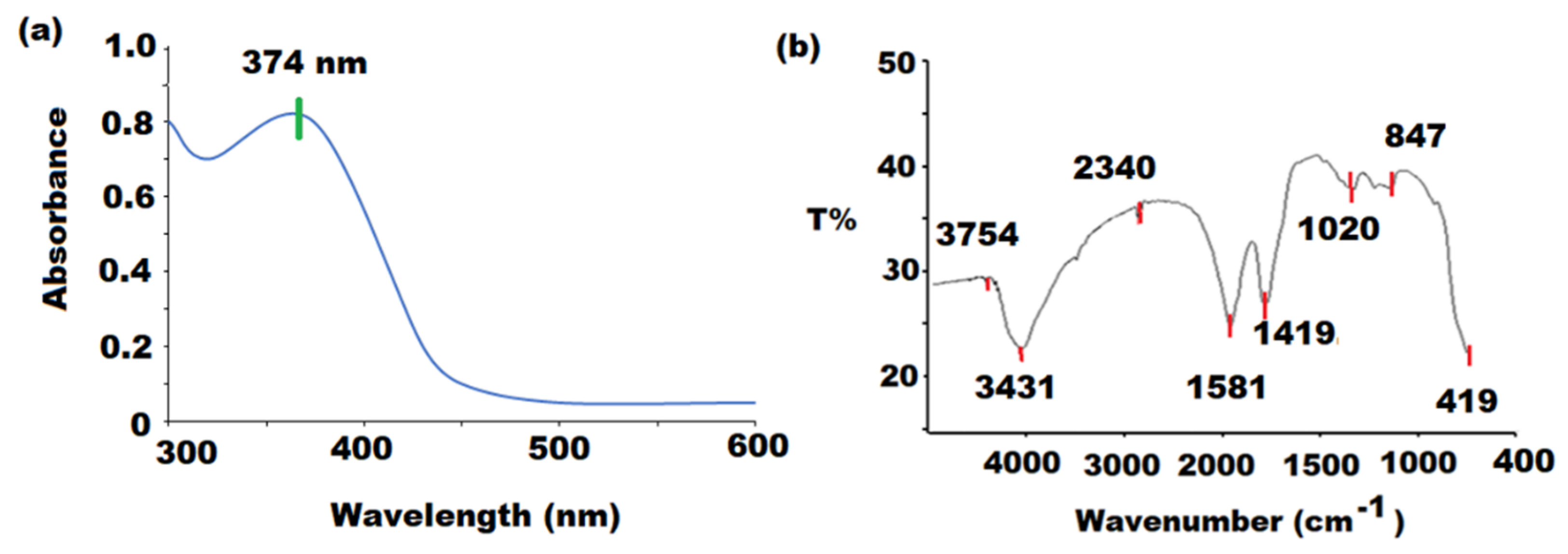 Pharmaceutics 13 02197 g002