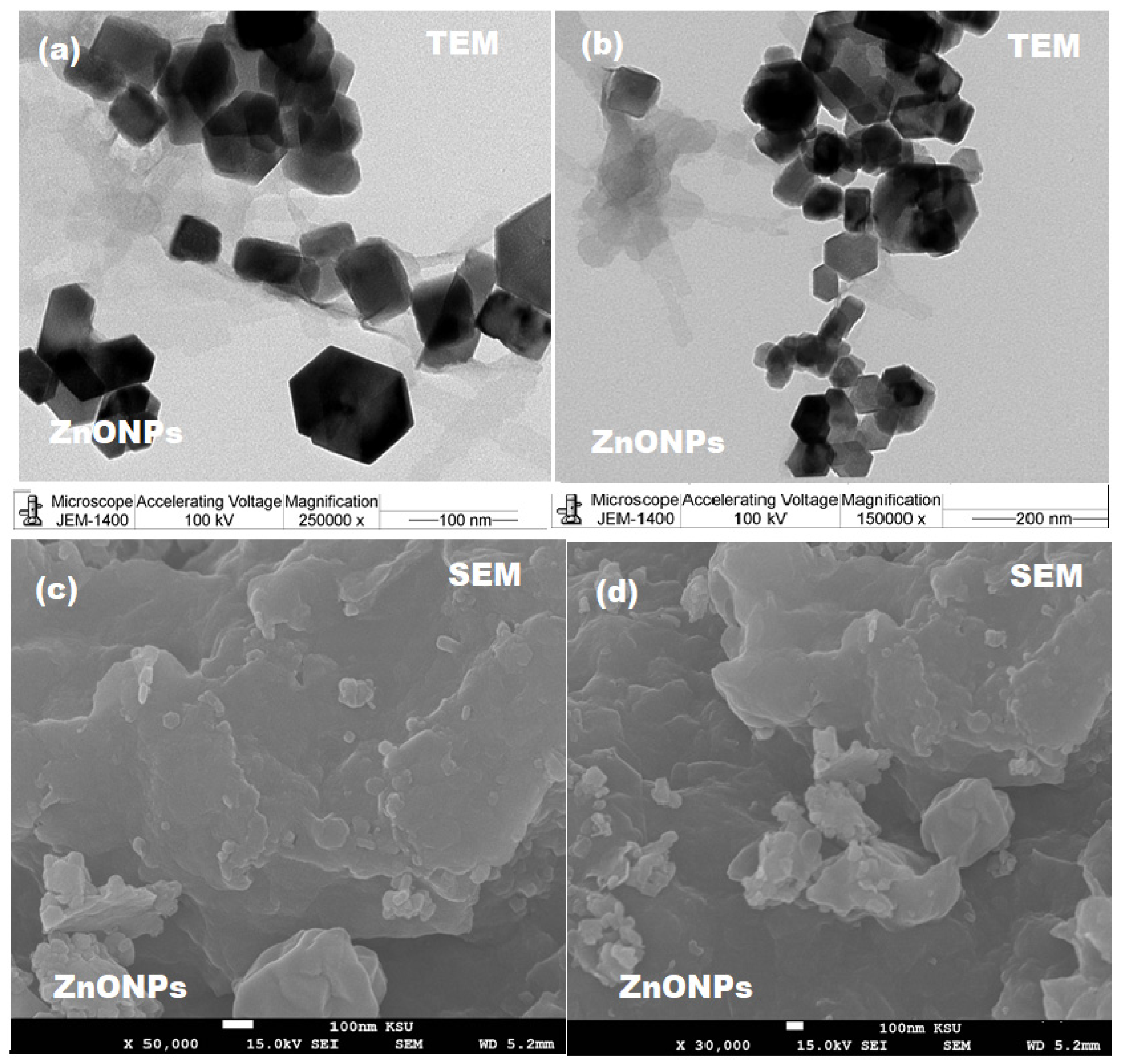Pharmaceutics 13 02197 g003