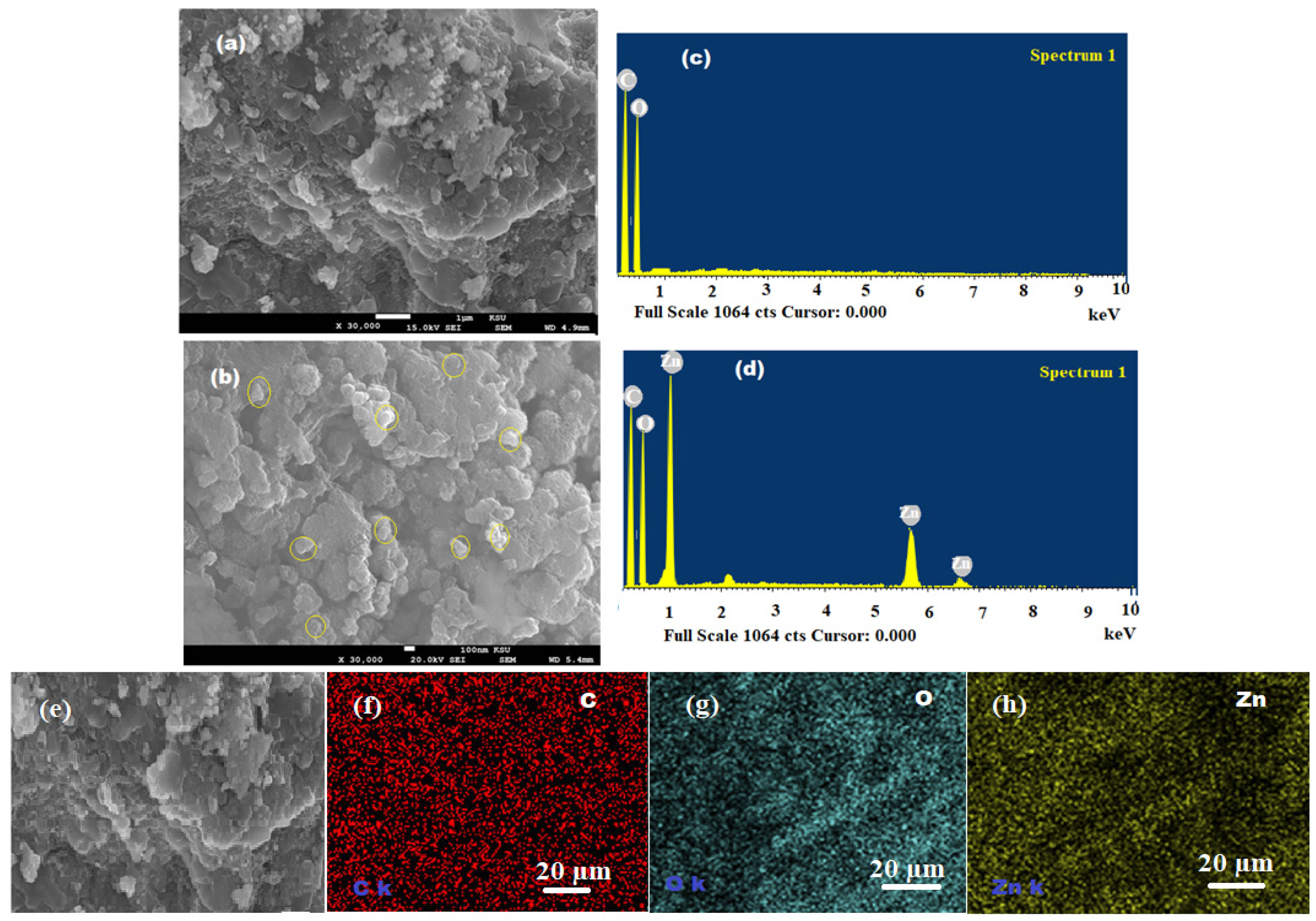 Pharmaceutics 13 02197 g008