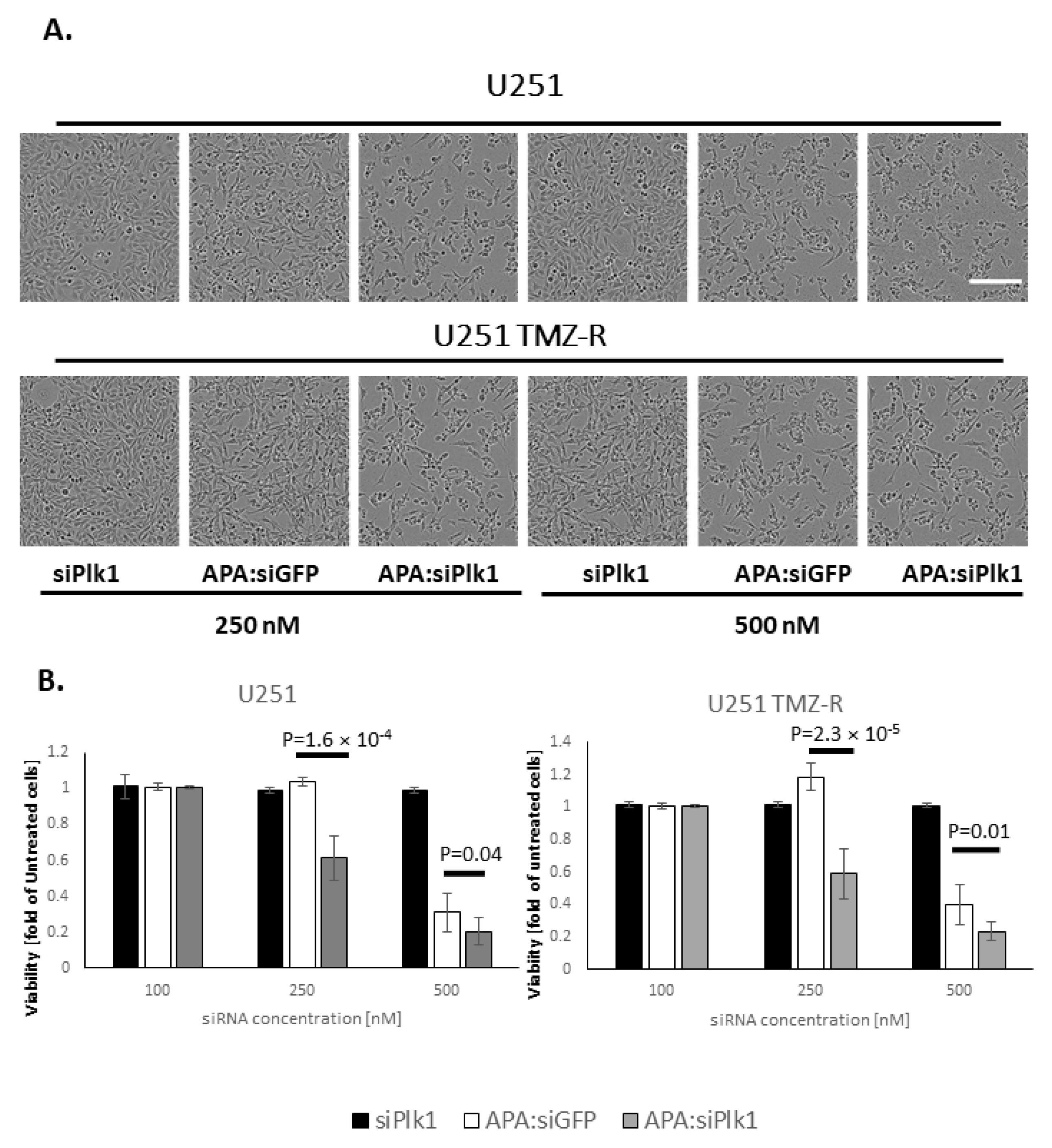 Pharmaceutics 13 02199 g003 550