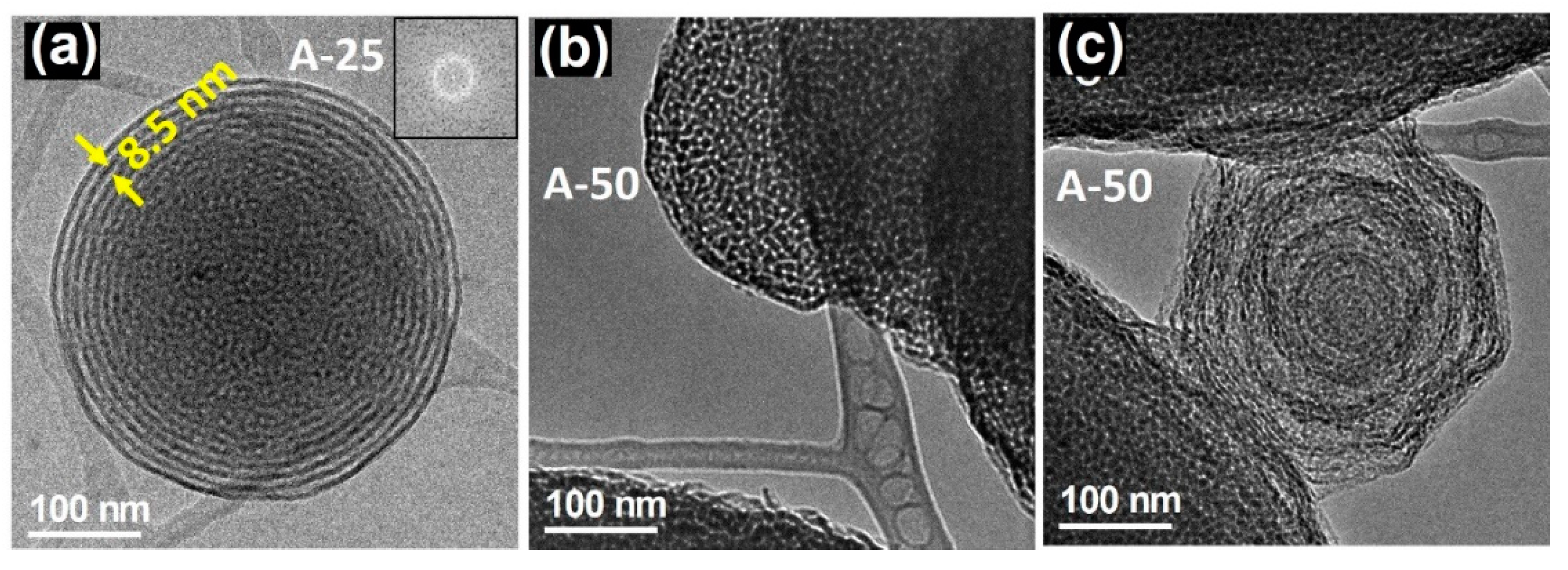 Pharmaceutics 13 02200 g002
